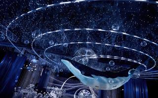 鲸落坠入星海|梦幻海洋蓝色婚礼