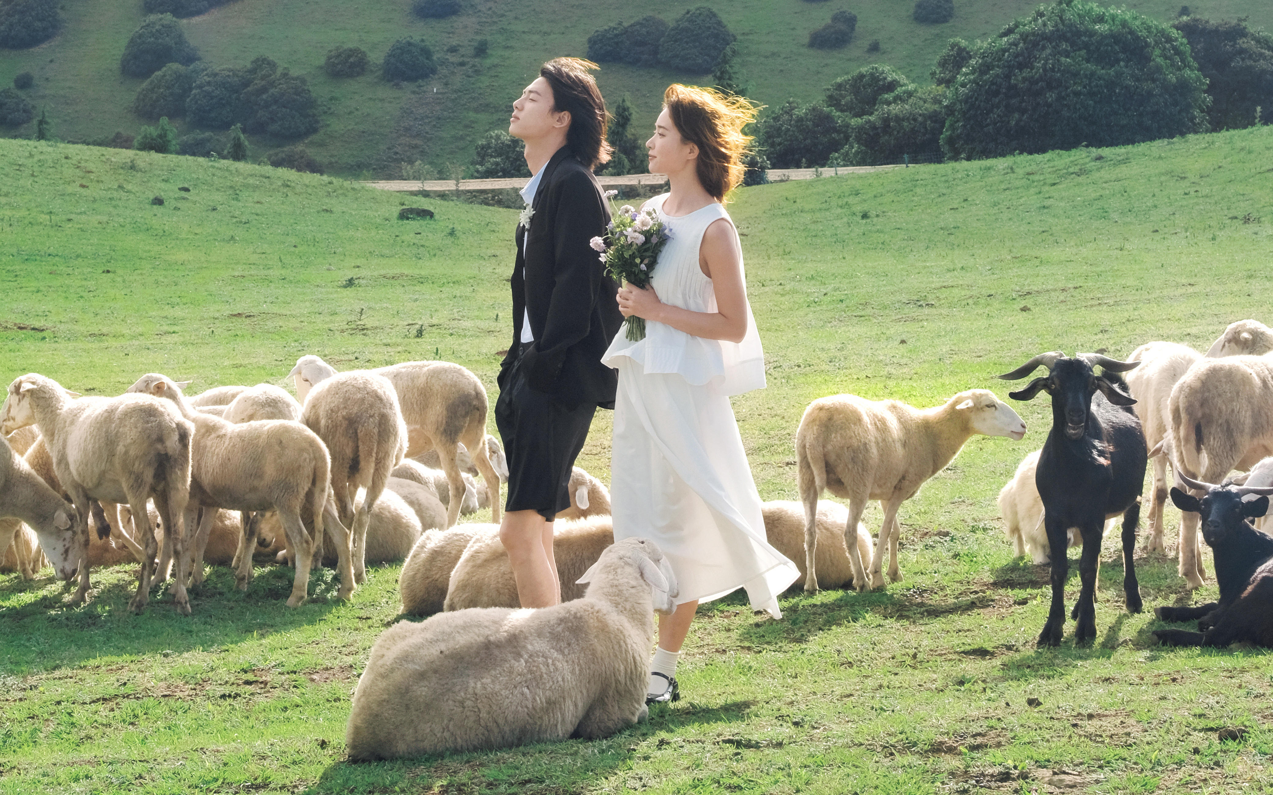 【法式印象】来组小清新婚纱照🍃和羊驼🦙合拍