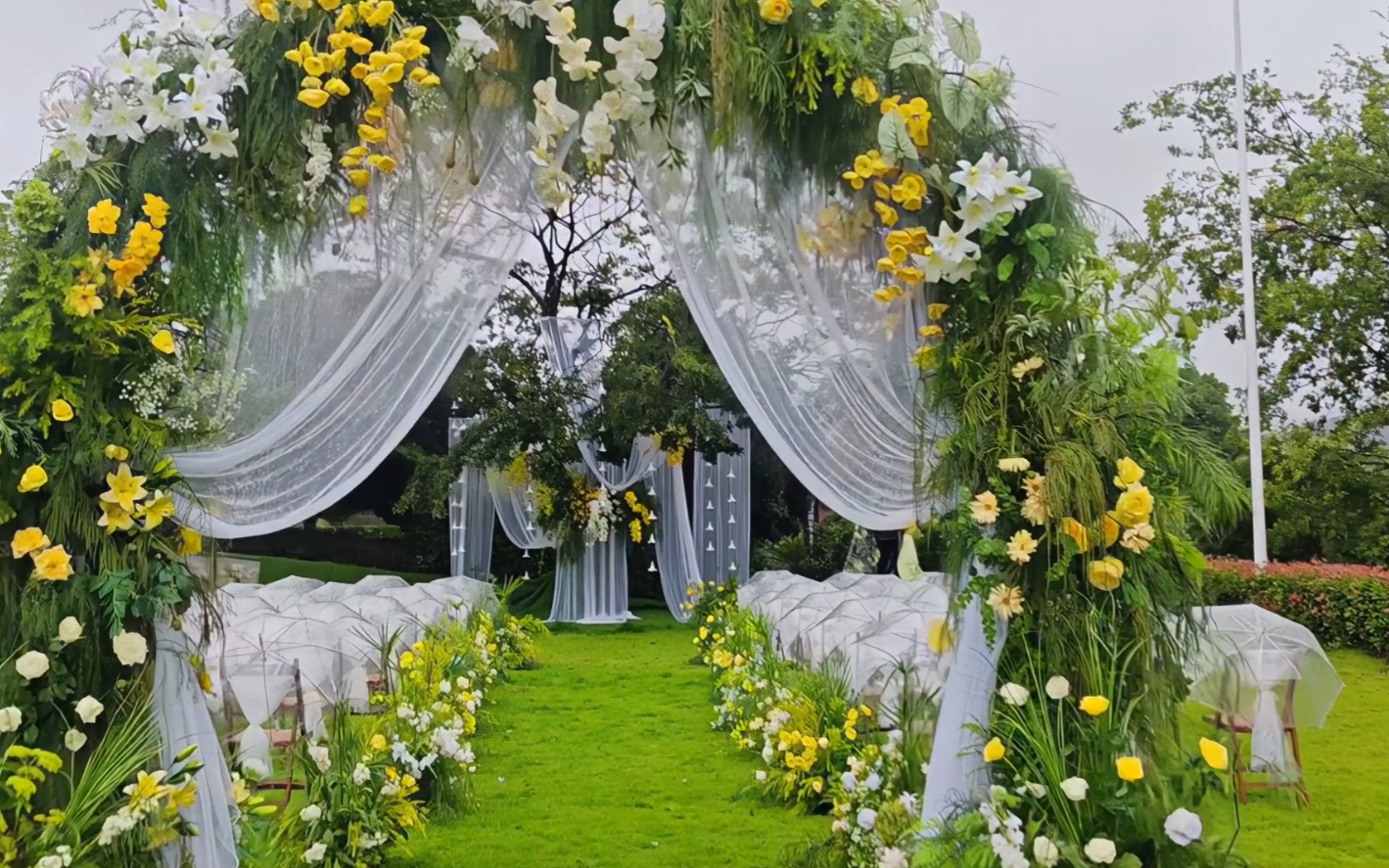 漫步林间的轻盈户外氛围