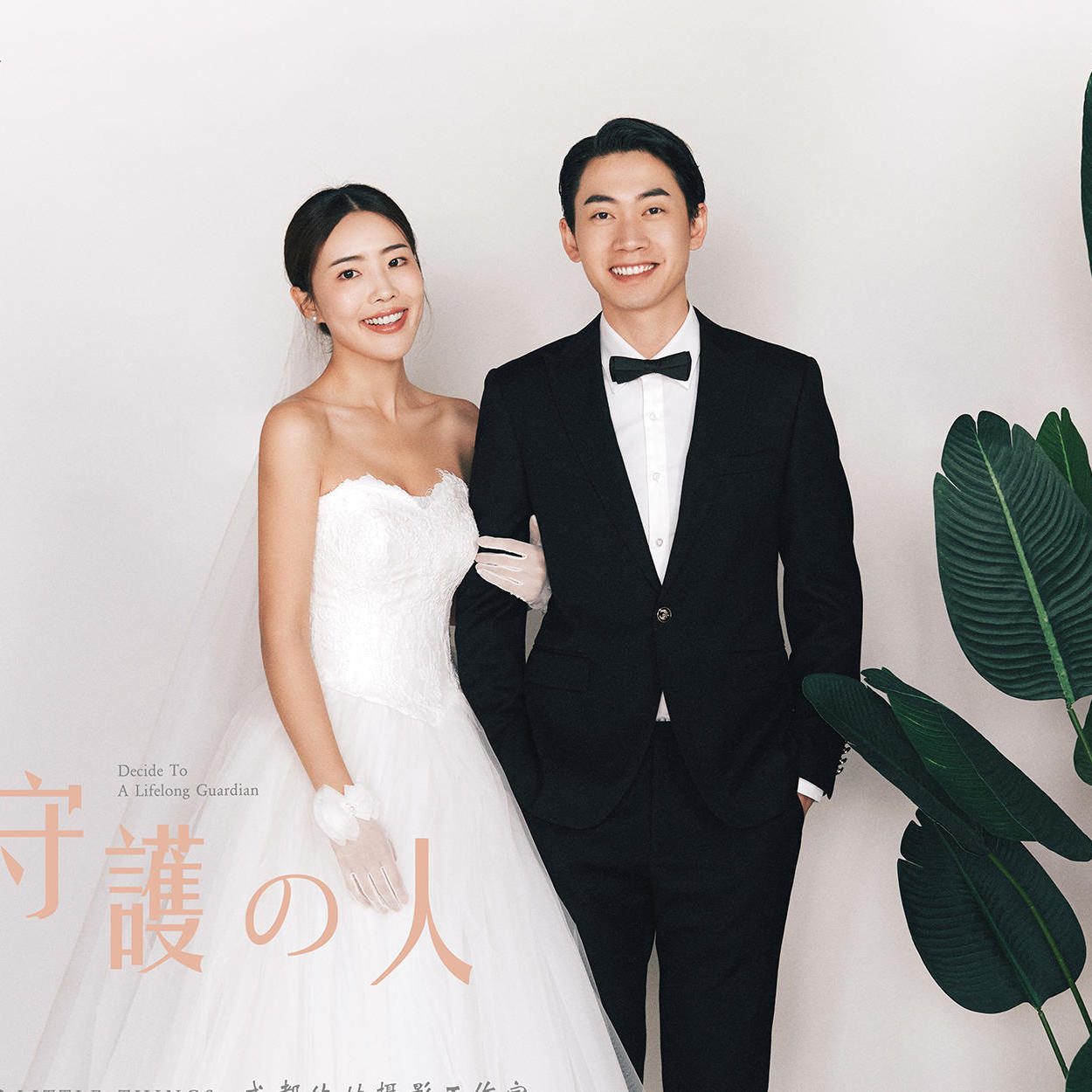 简约韩式 绿植俏皮小清新