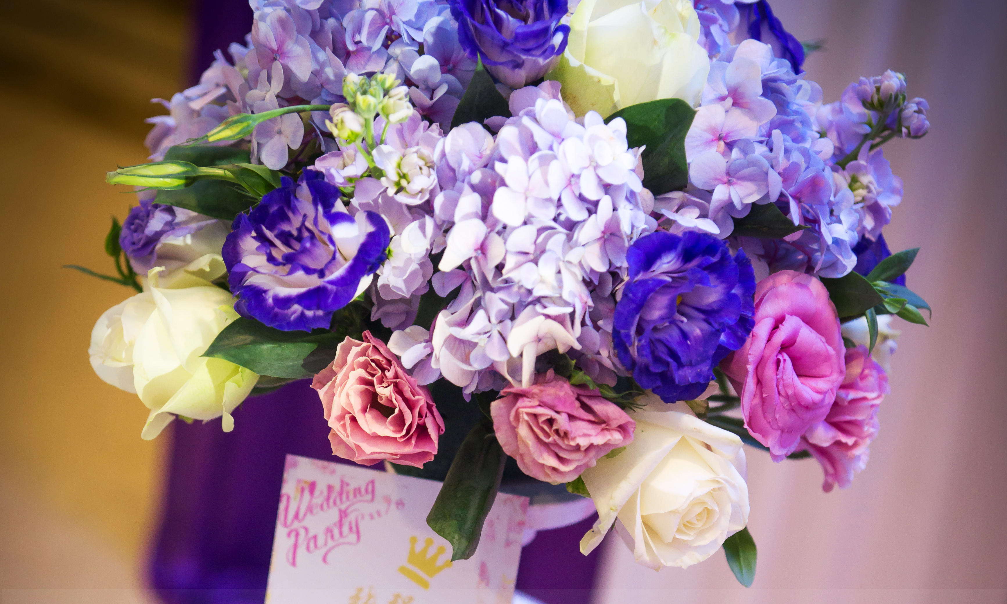 今生“紫”爱你