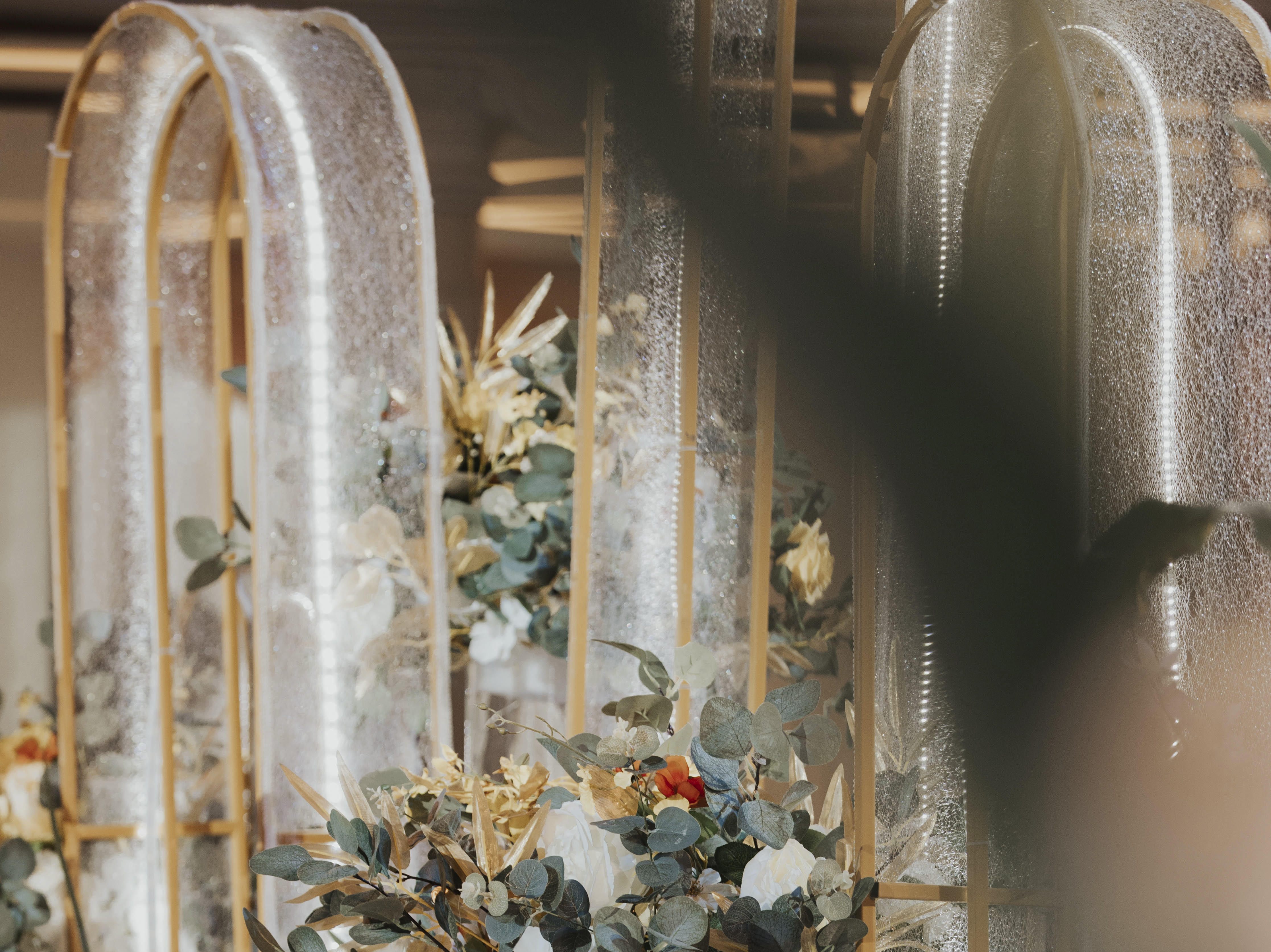 【轻奢系】黄绿创意定制/温馨大气/清新明亮