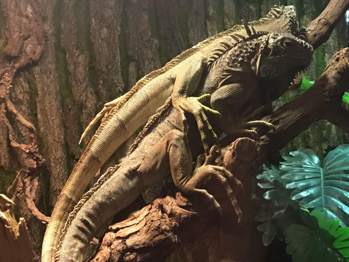 南昌八一书羽测试：铂尔曼酒店艺术户外草坪婚礼