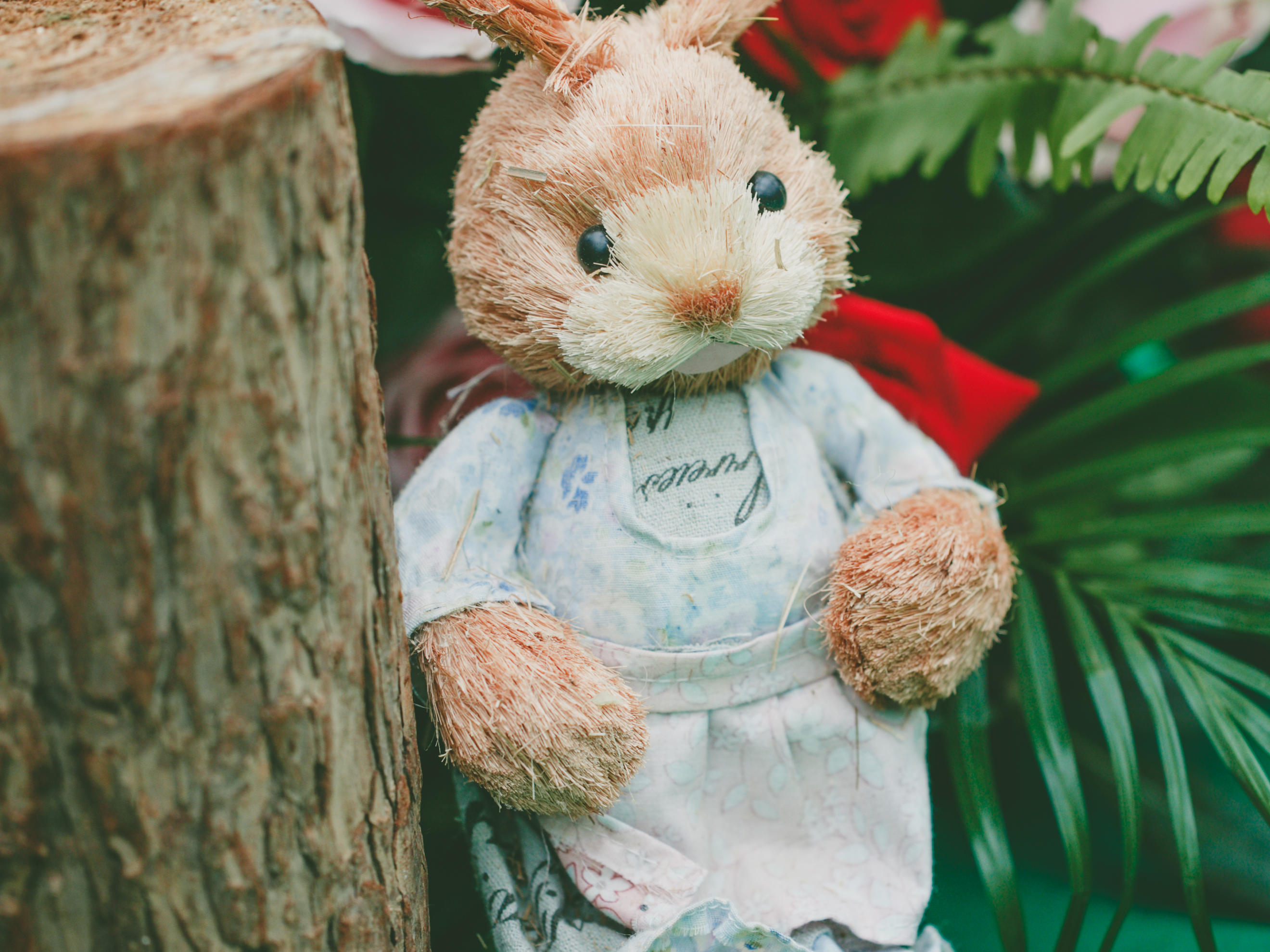 【熙 · 婚礼】小型婚礼 一价全含精致森系