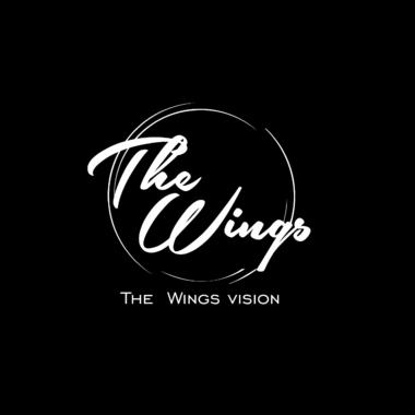 The wings vision 翼视觉