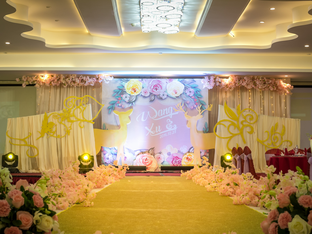 爱的真谛【19年爆款套餐价含六大工作人员】