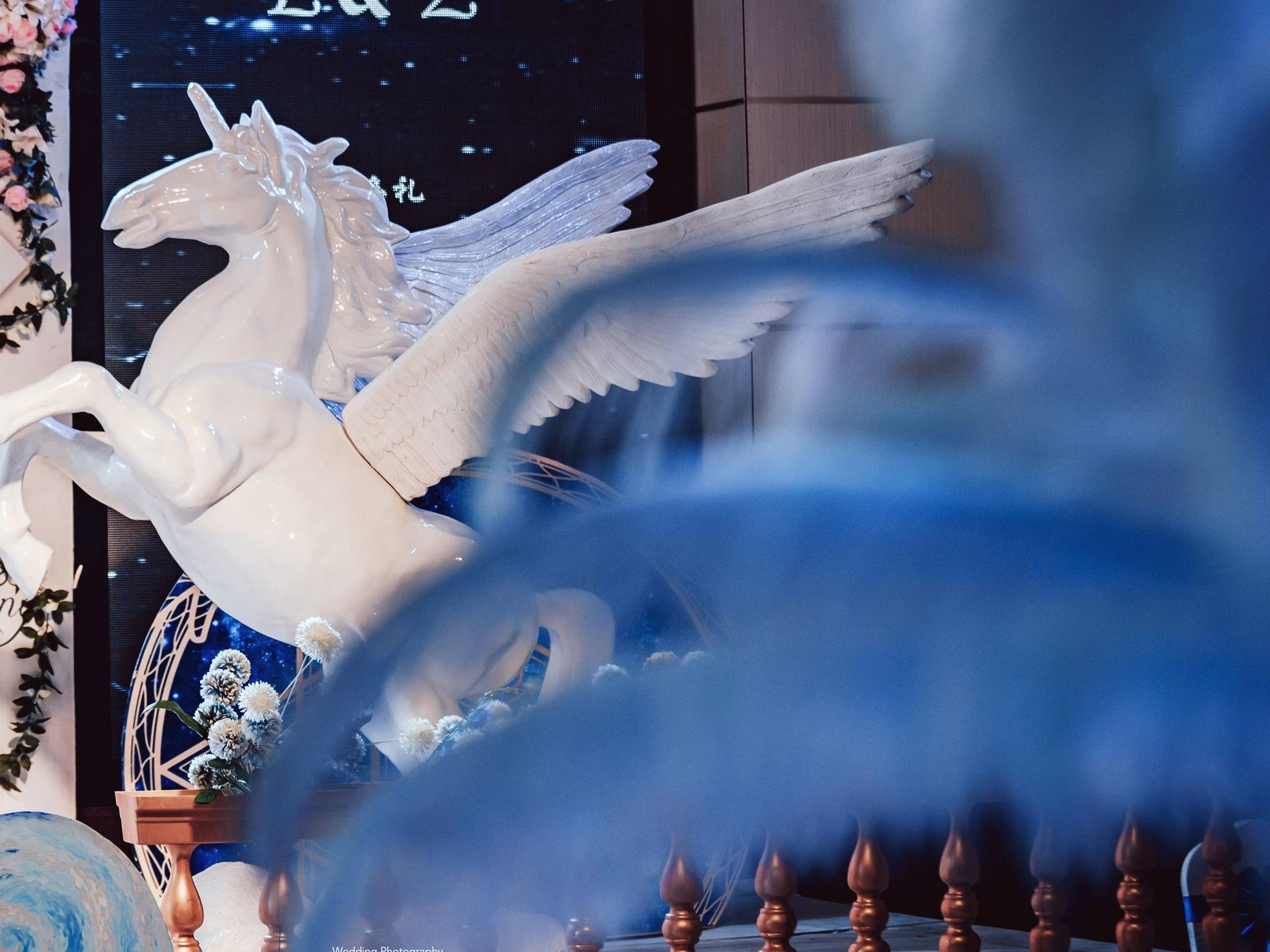 邯郸市艺都婚礼/小预算 星空