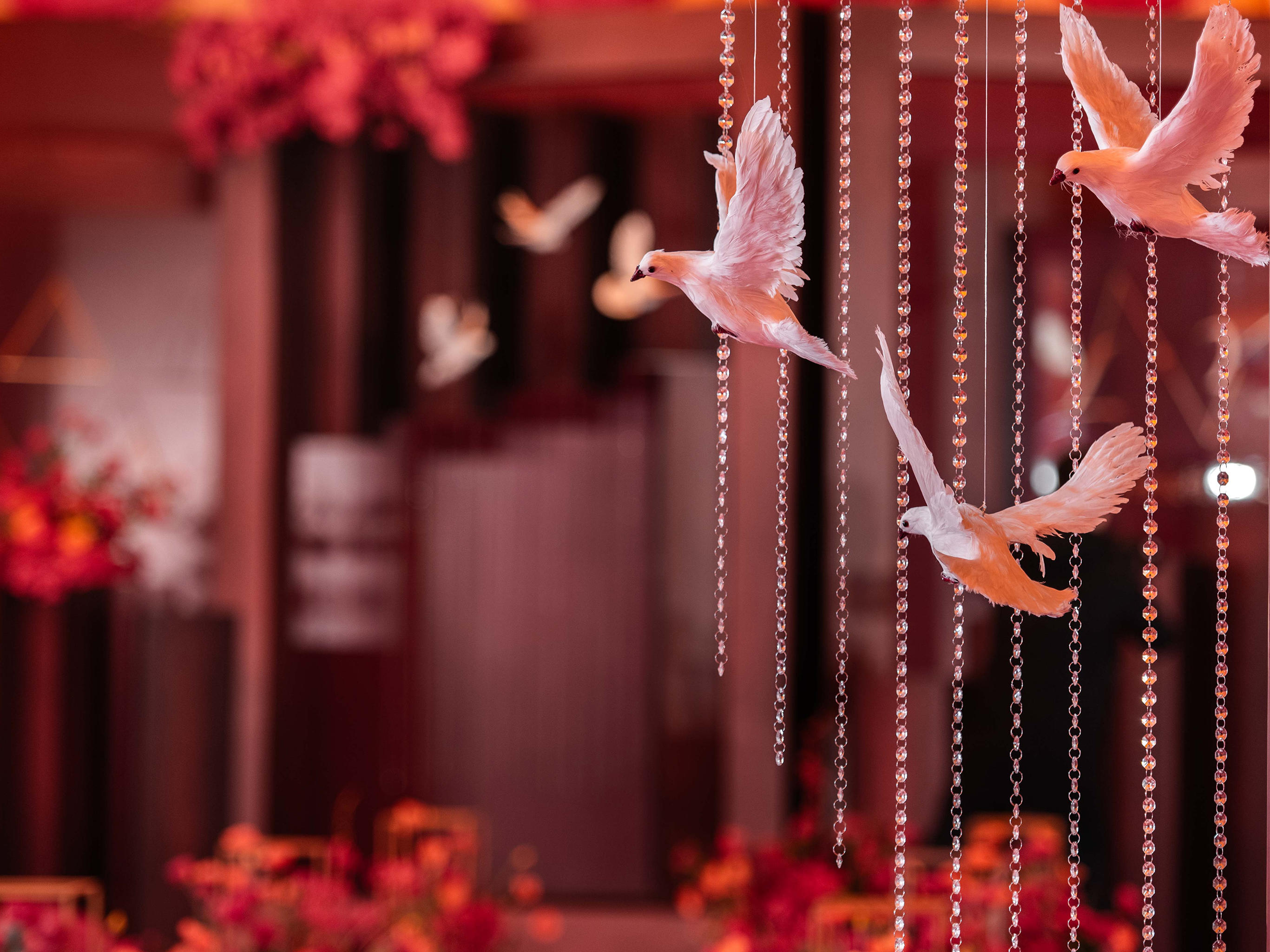 【诗亚图婚礼】红色轻奢大棚婚礼