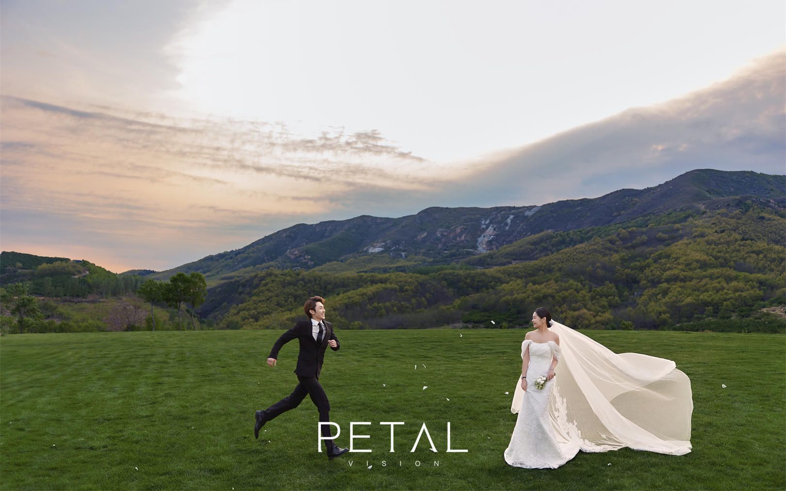 花瓣摄影•山顶 绿地