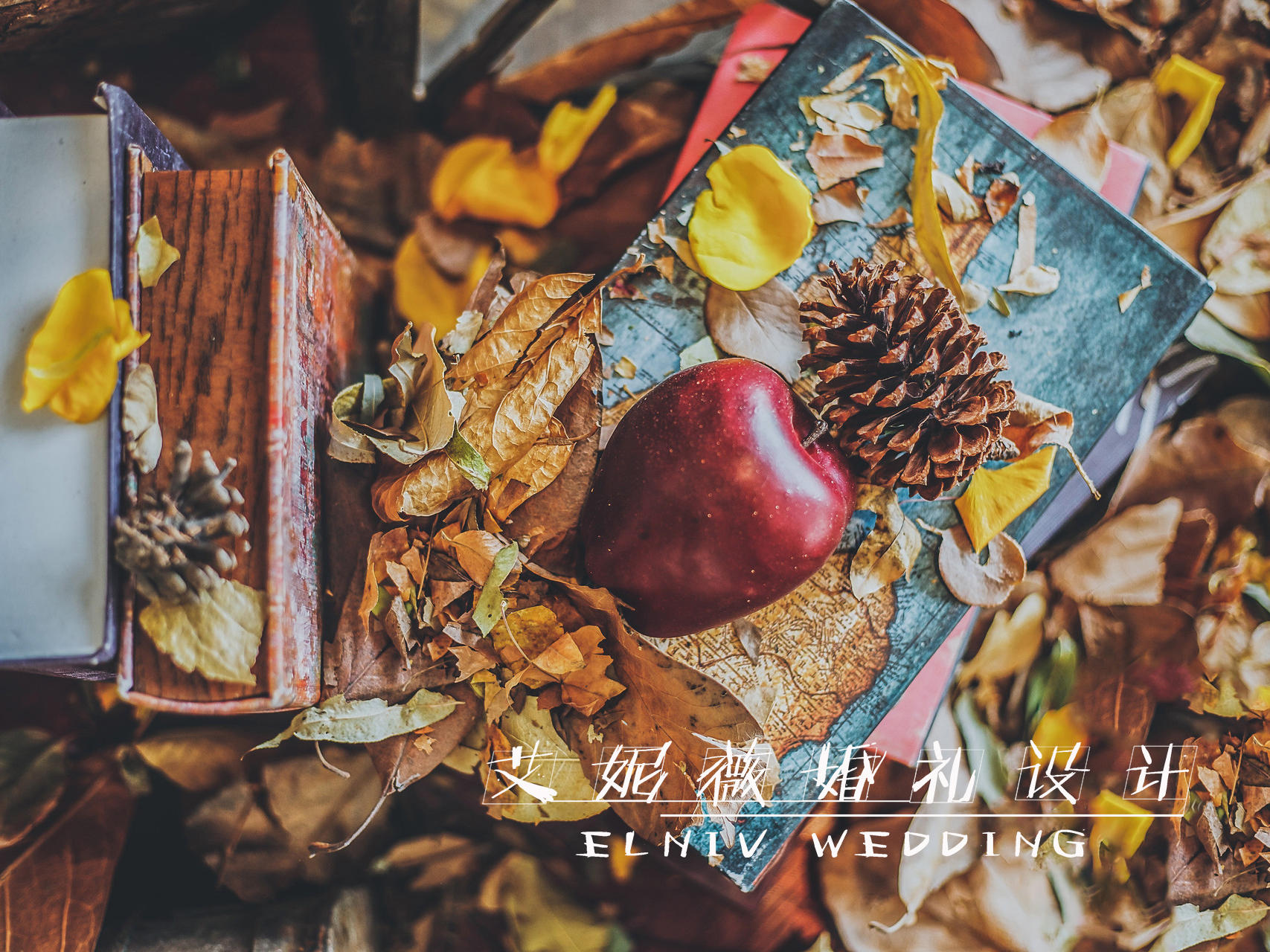 《知秋》——我听过秋水泠泠却不及你呢喃