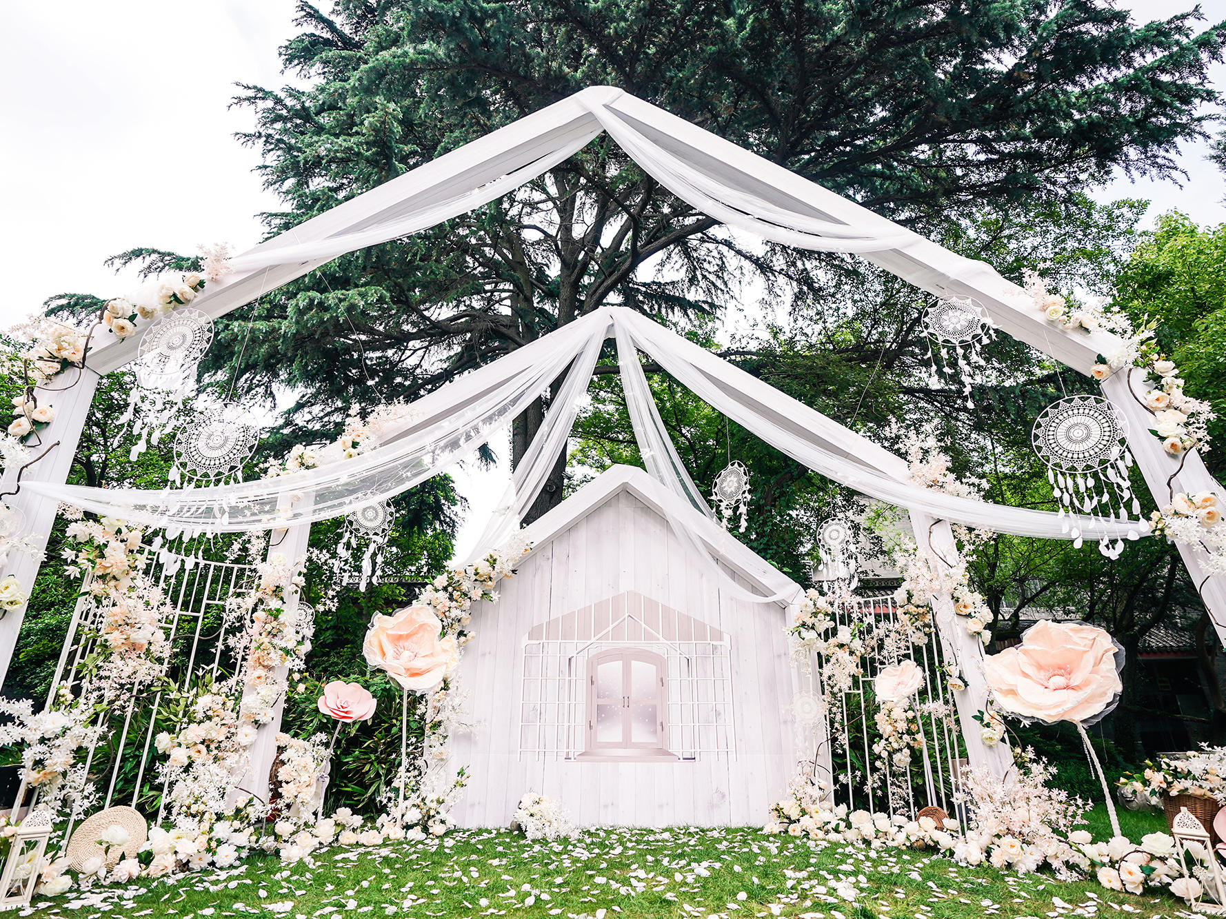 【超人气好评】主持人尹帅——为爱发声