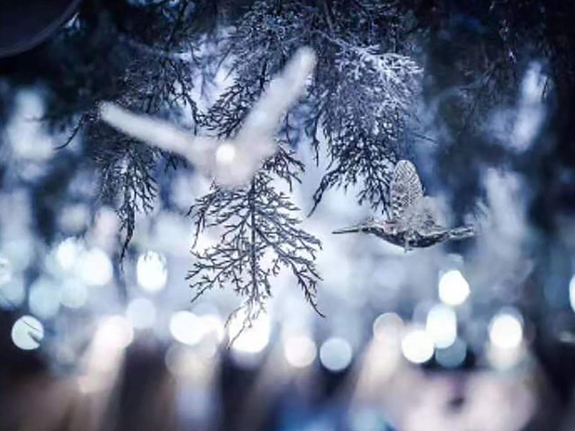 【THEONE壹.婚礼私人定制】蓝色星空