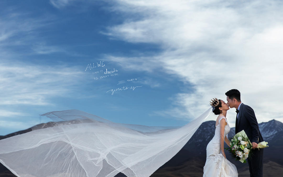 茶卡盐湖+青海湖+热气球+骆驼+沙漠+油菜花