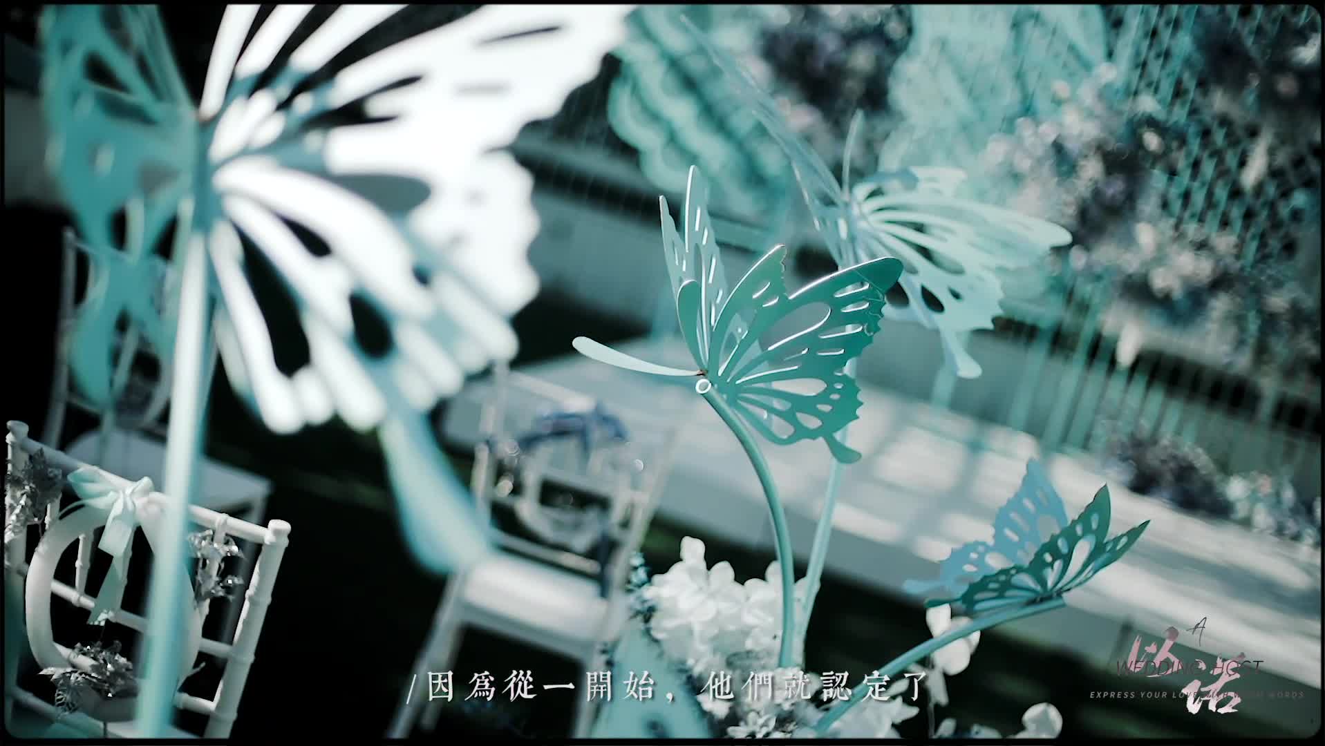 关于青春的陪伴