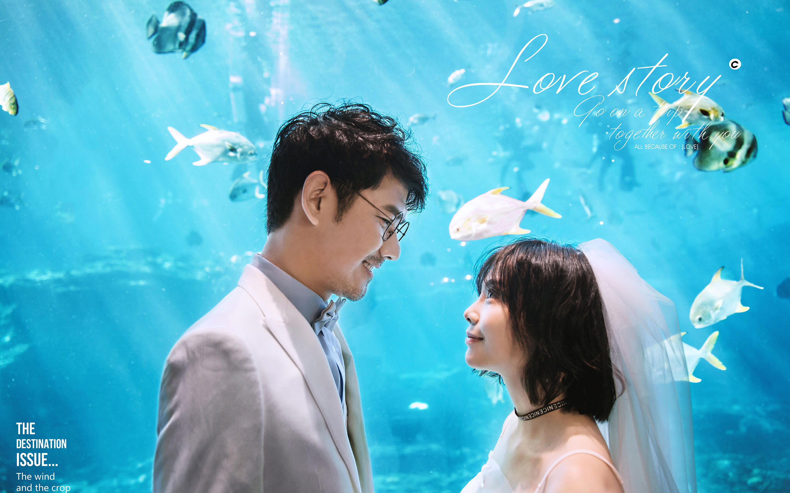 最美证件照，1寸/2寸快照