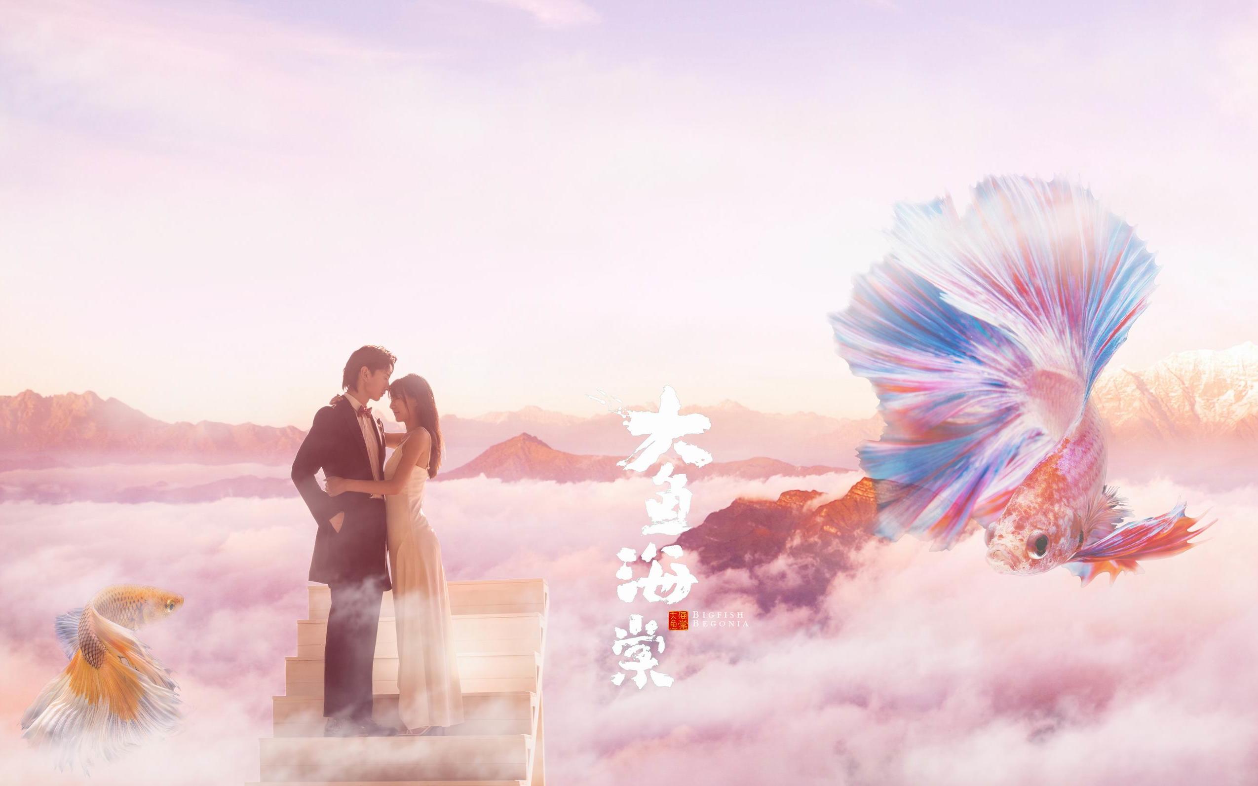 国家四星级旅游景区，影楼专业拍摄基地