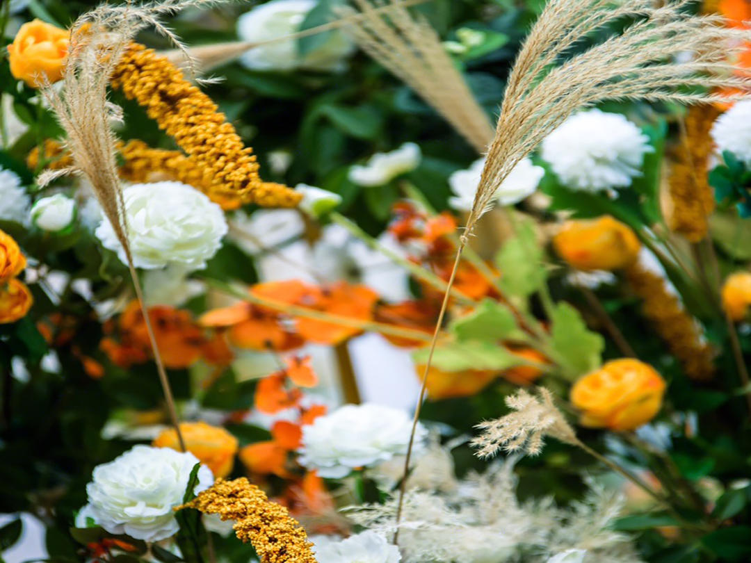 〖锦时婚礼〗2020年大热 清新户外套餐