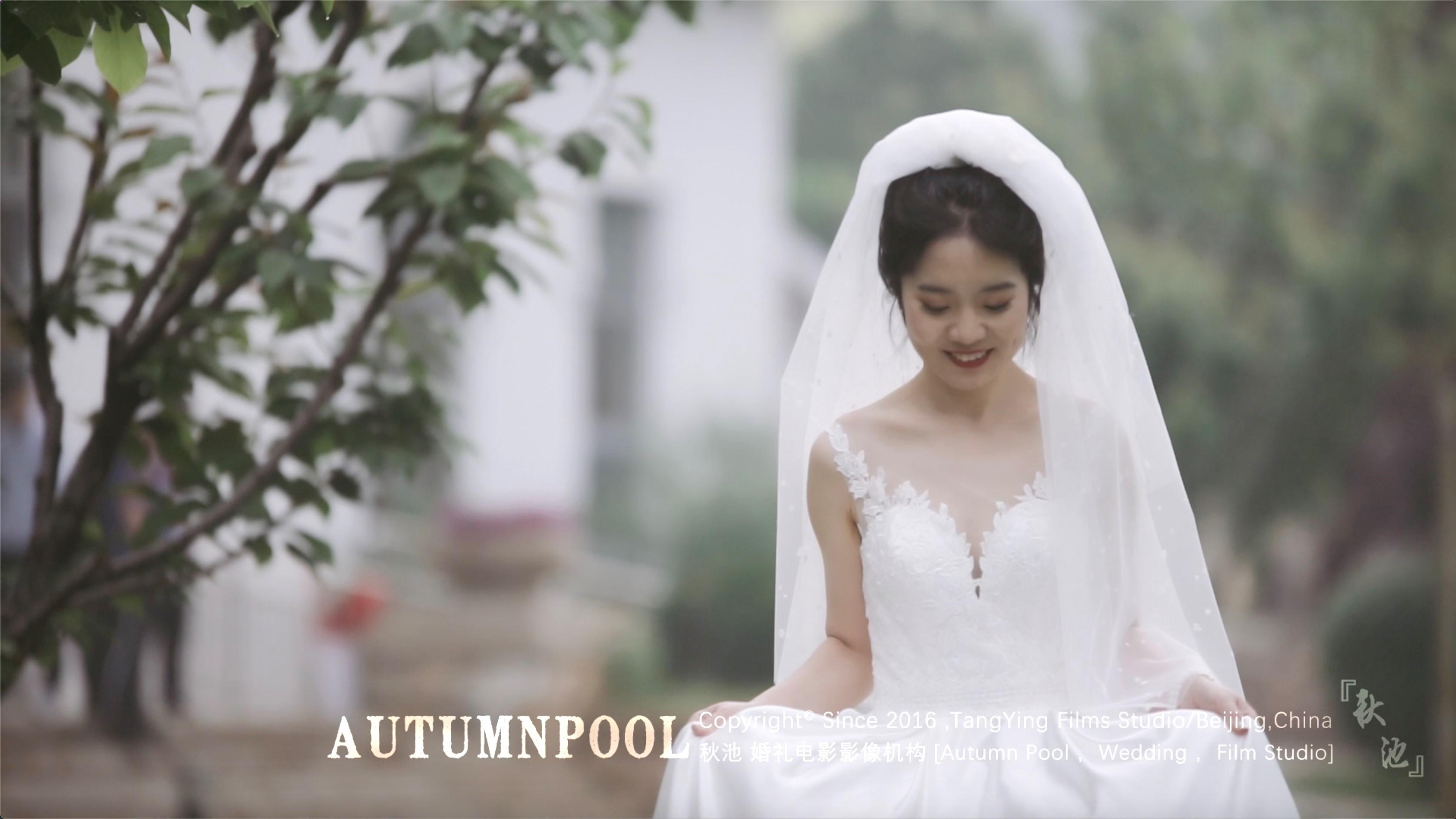 总监级双机婚礼电影   