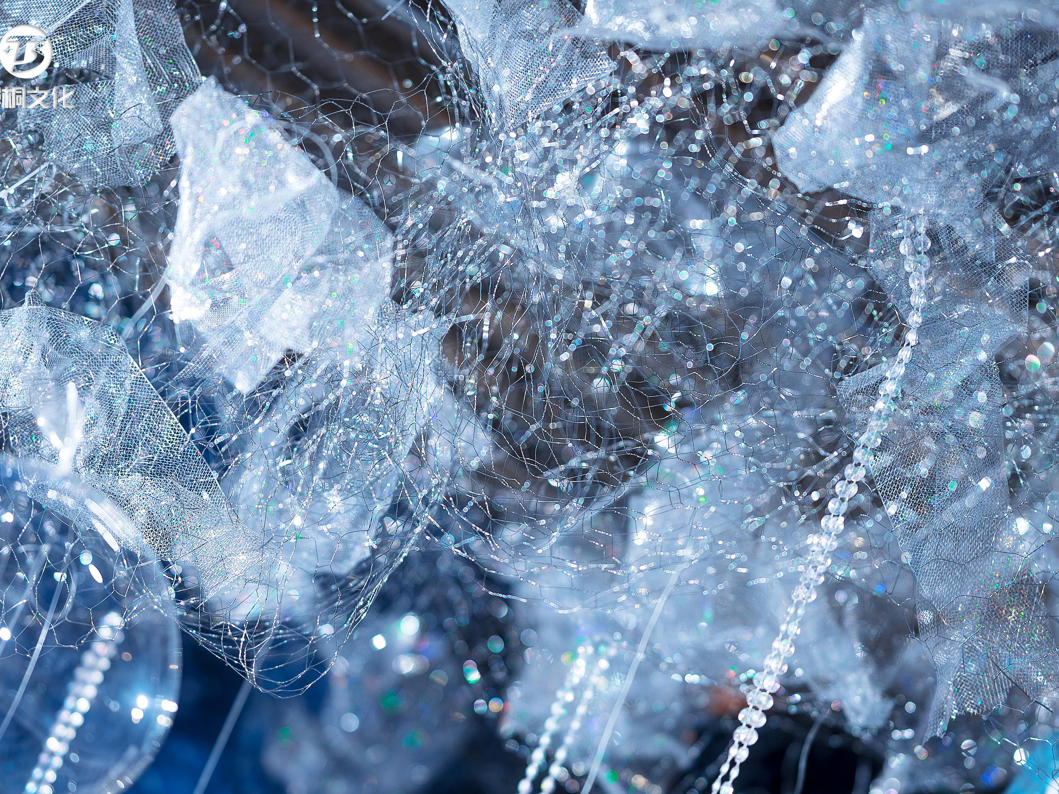 《梦幻星际》铂尔曼星空婚礼