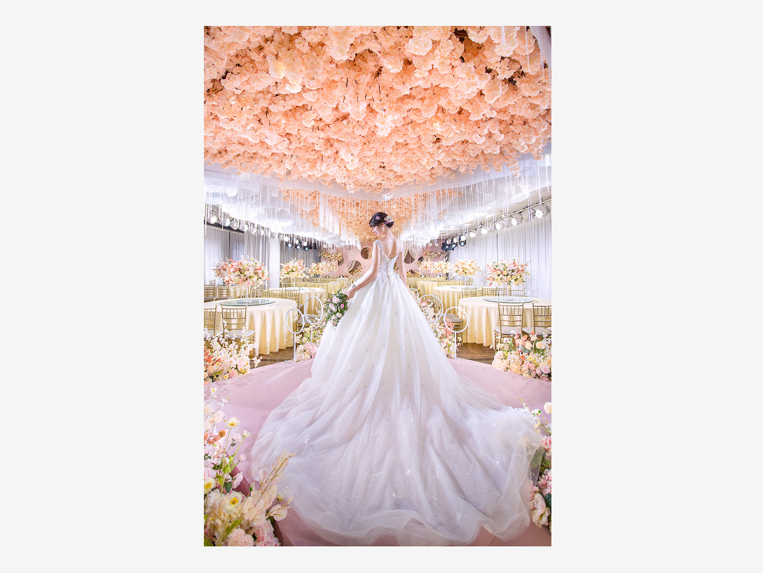 【超值租赁】澳芙新品发布订单送胸贴