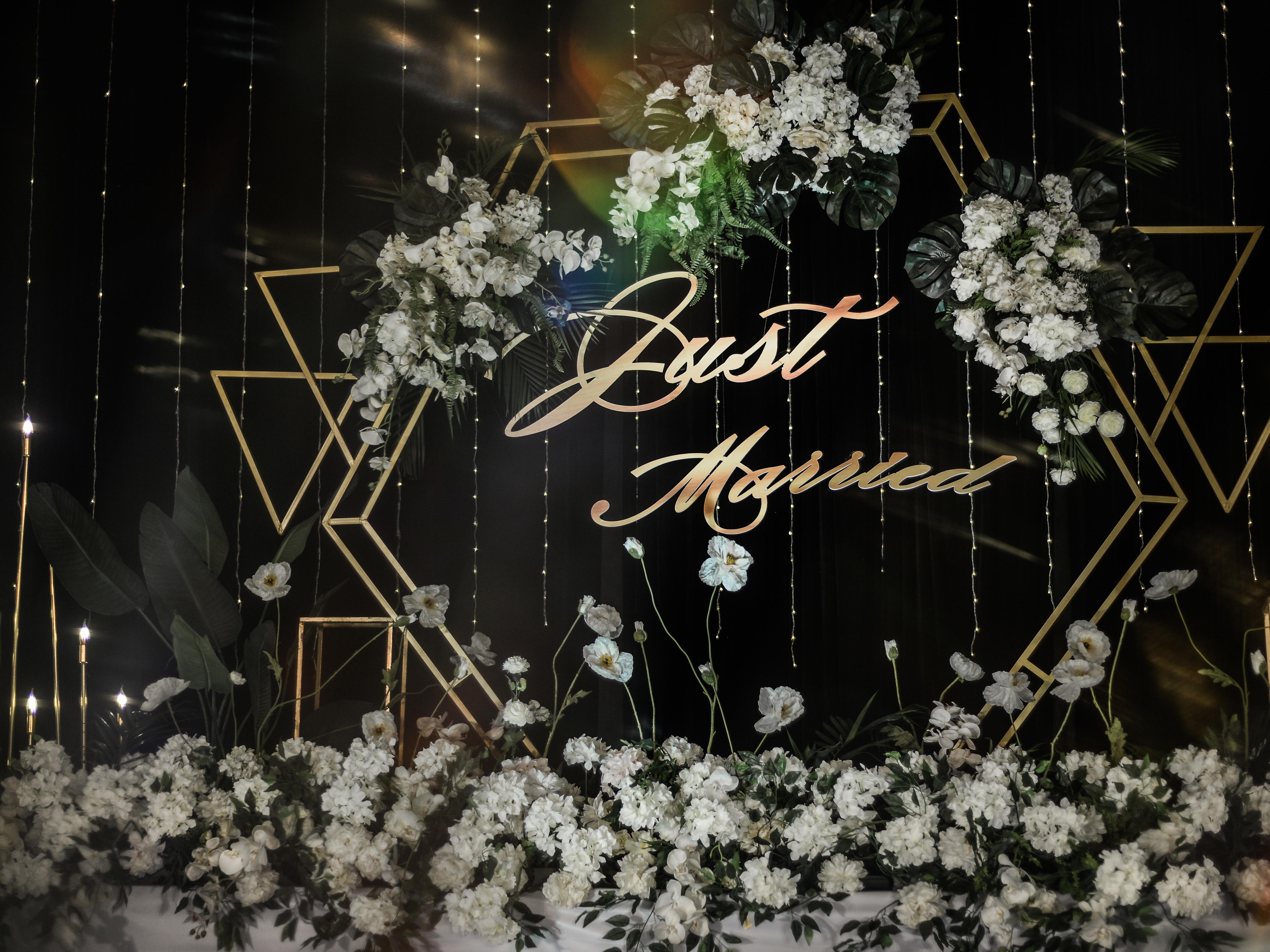 【不夜森林】幽静白绿系，韩式大气感