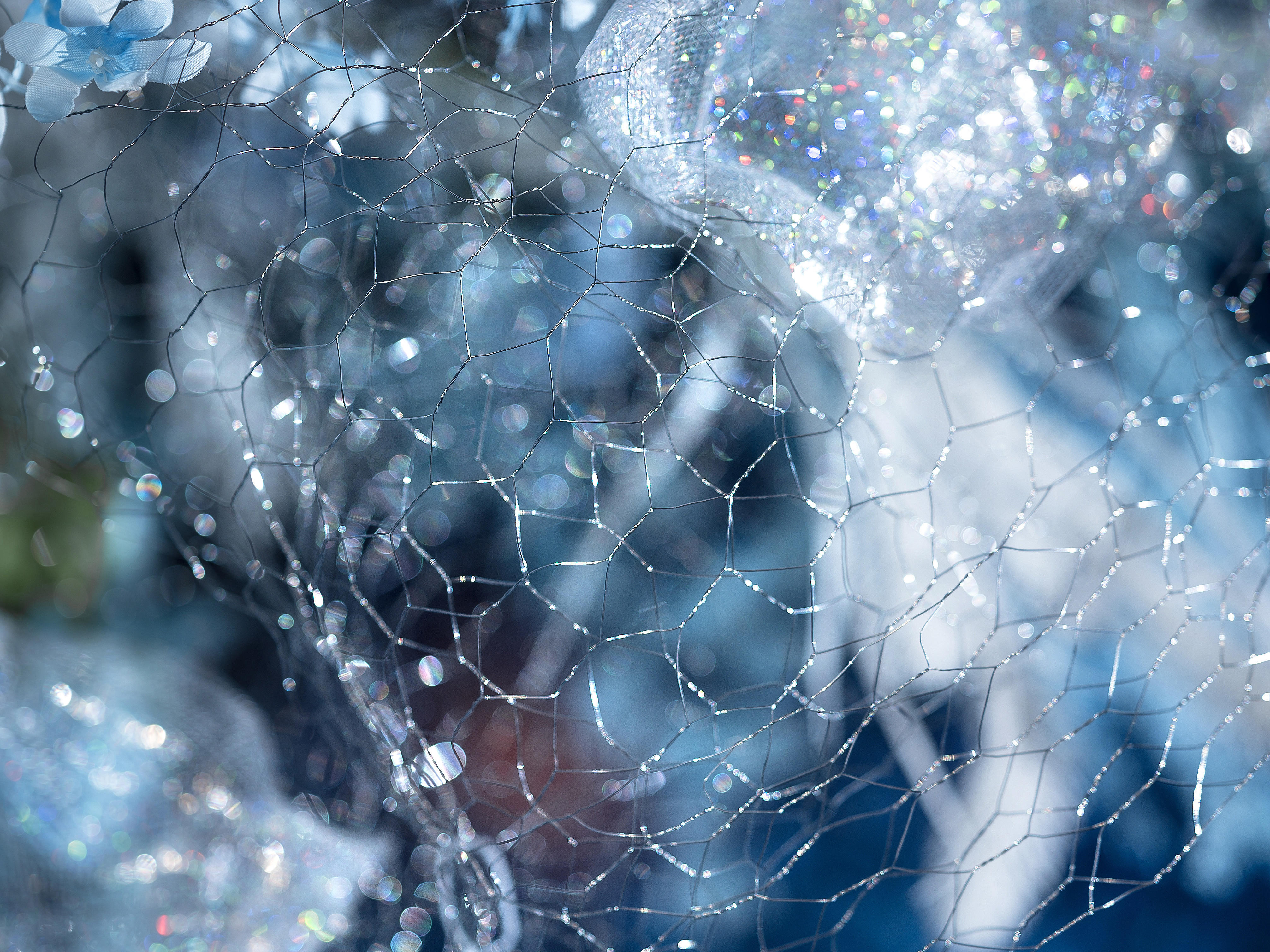 《梦幻星际》铂尔曼星空婚礼