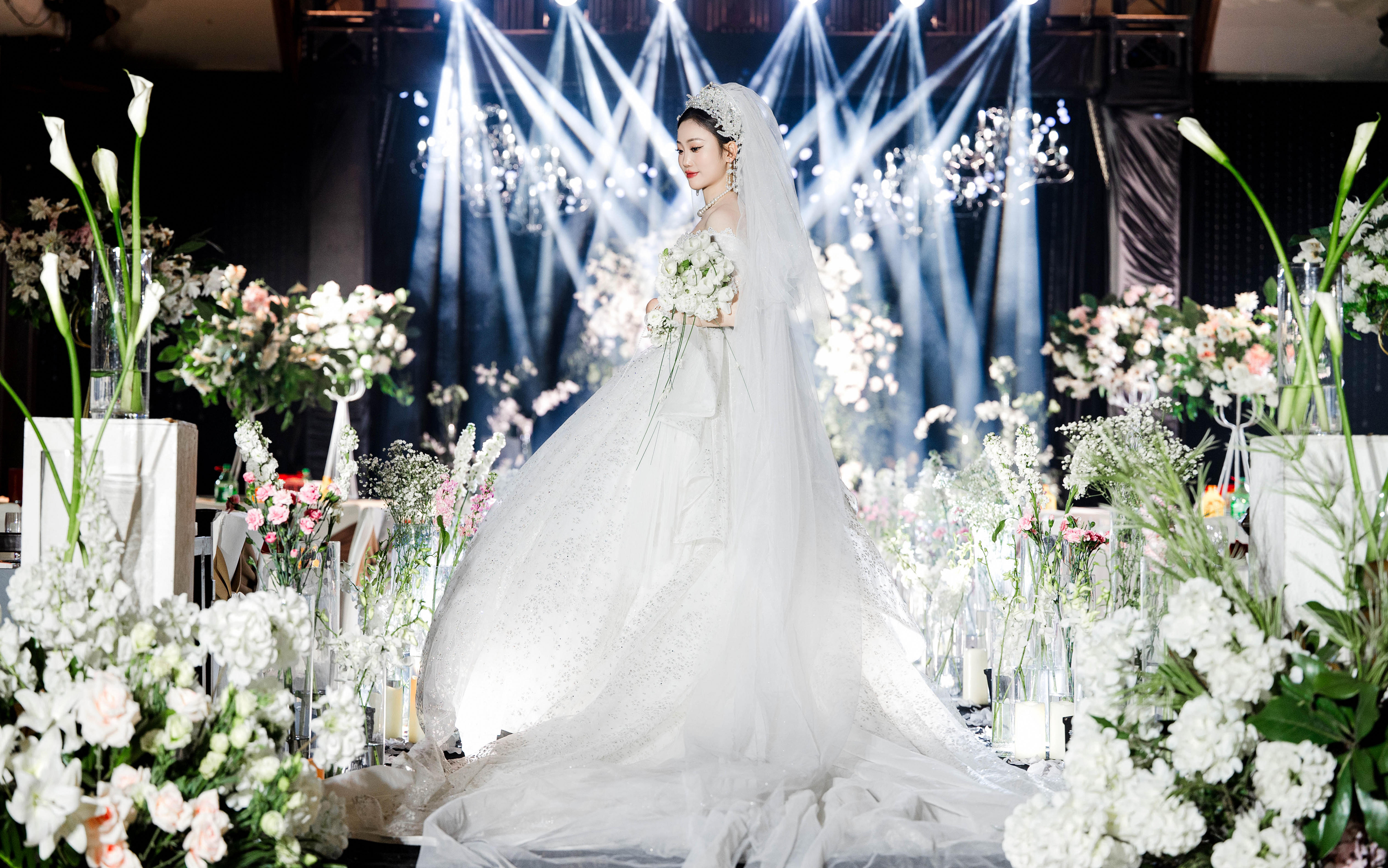 首席1956，含四大金刚，T台灯光海报婚纱婚车