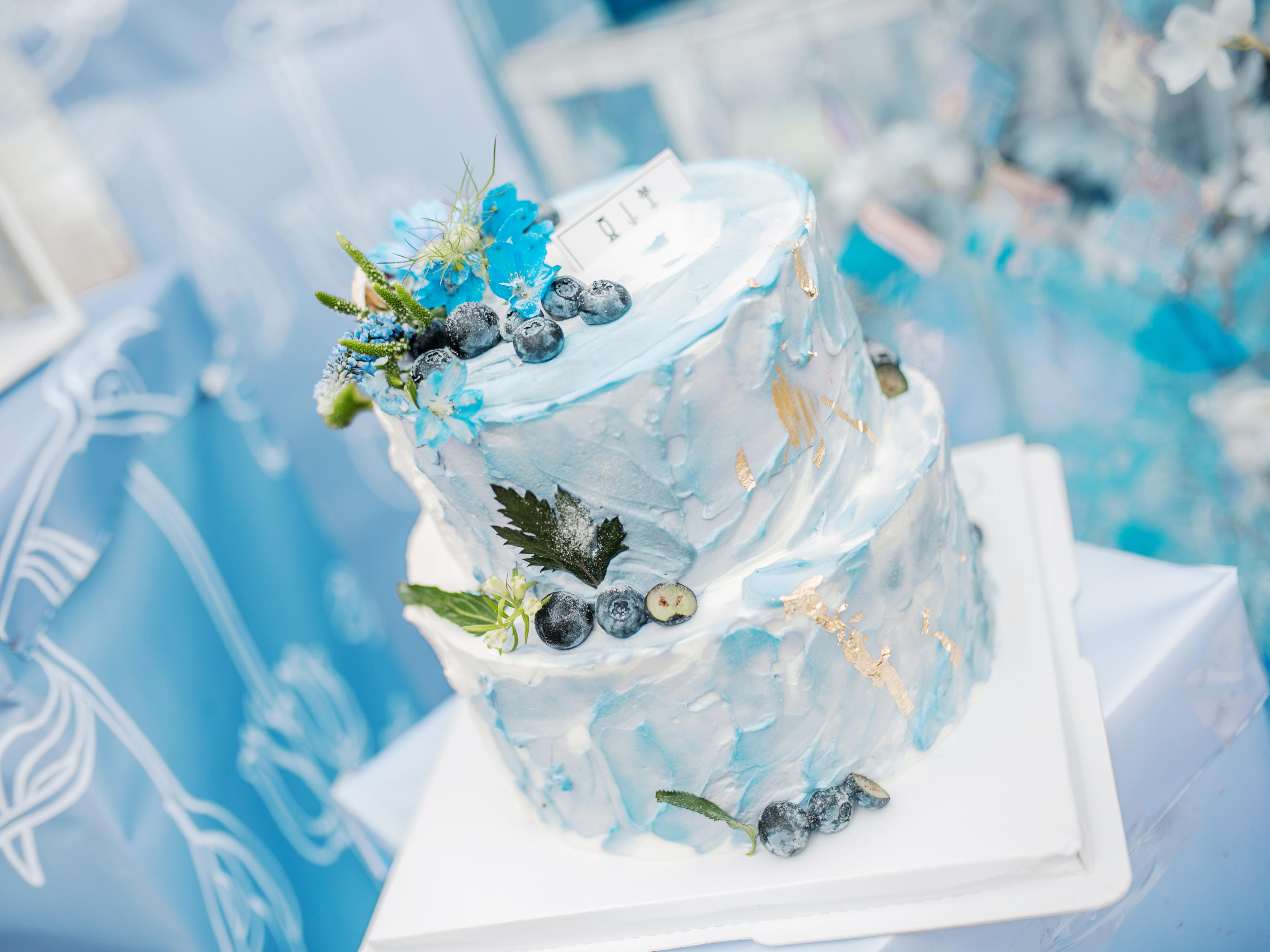 罐头婚礼|户外小清新蓝色系终极干净系列室内也可