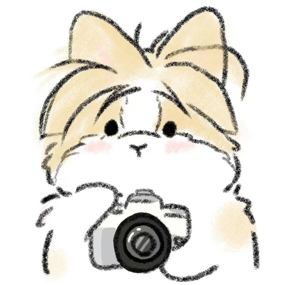 長株潭跟拍滔滔