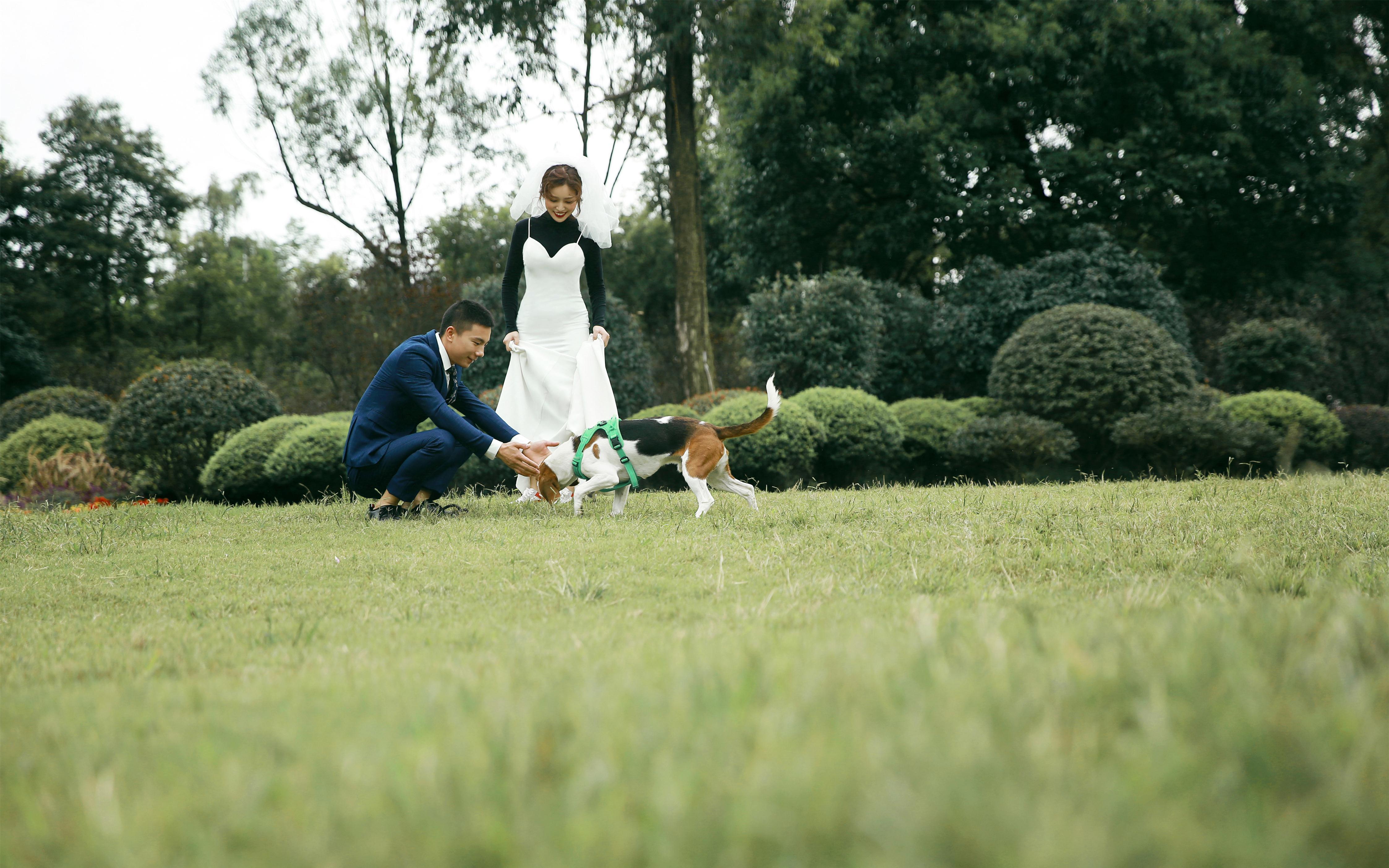 【超高性价比】首席拍摄内外景任选