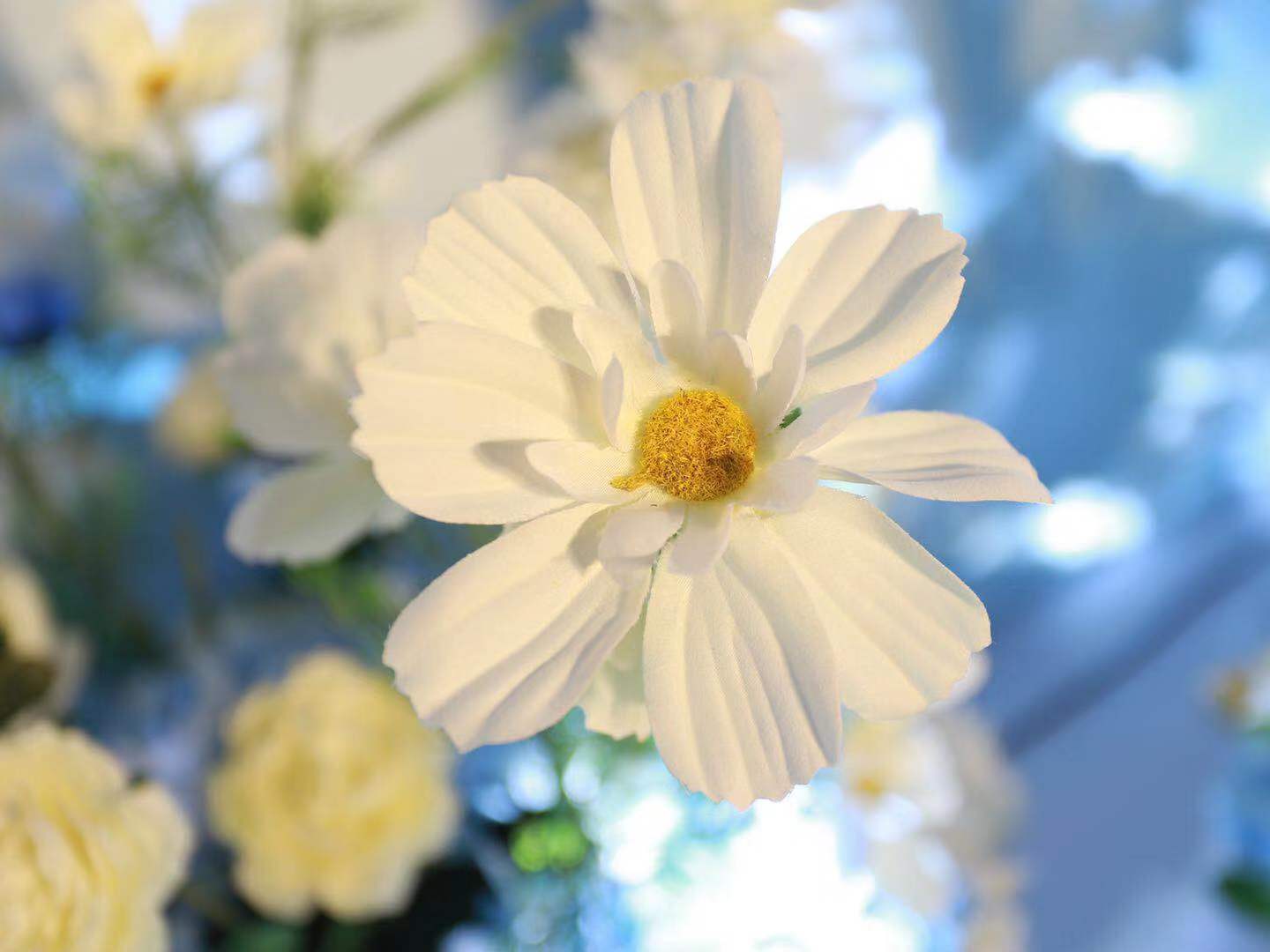 【十里桃花】梦幻浅蓝色系婚礼