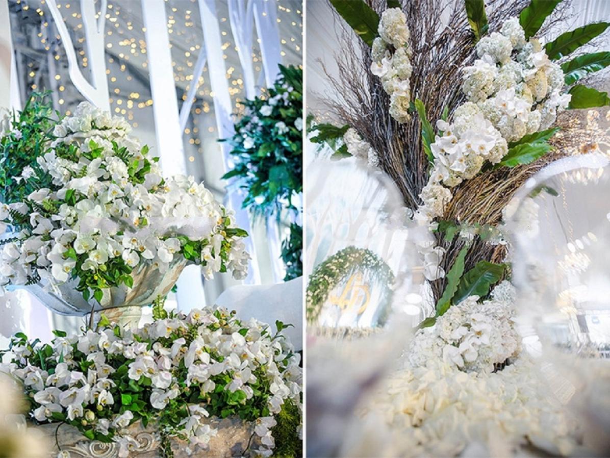 小清新唯美{}治愈系}婚礼