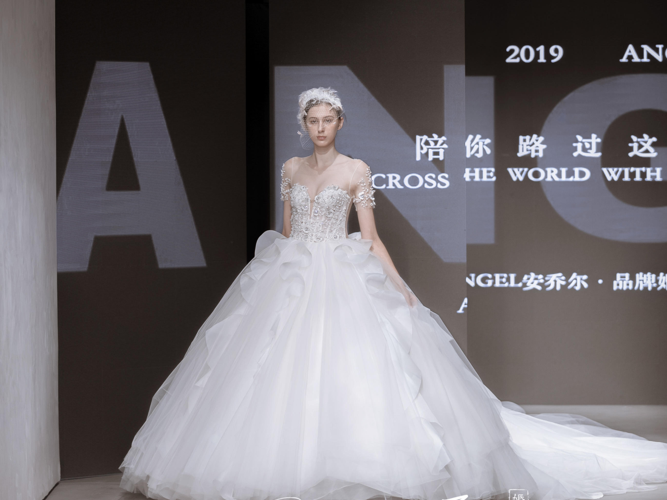 ANGEL安乔尔--繁花