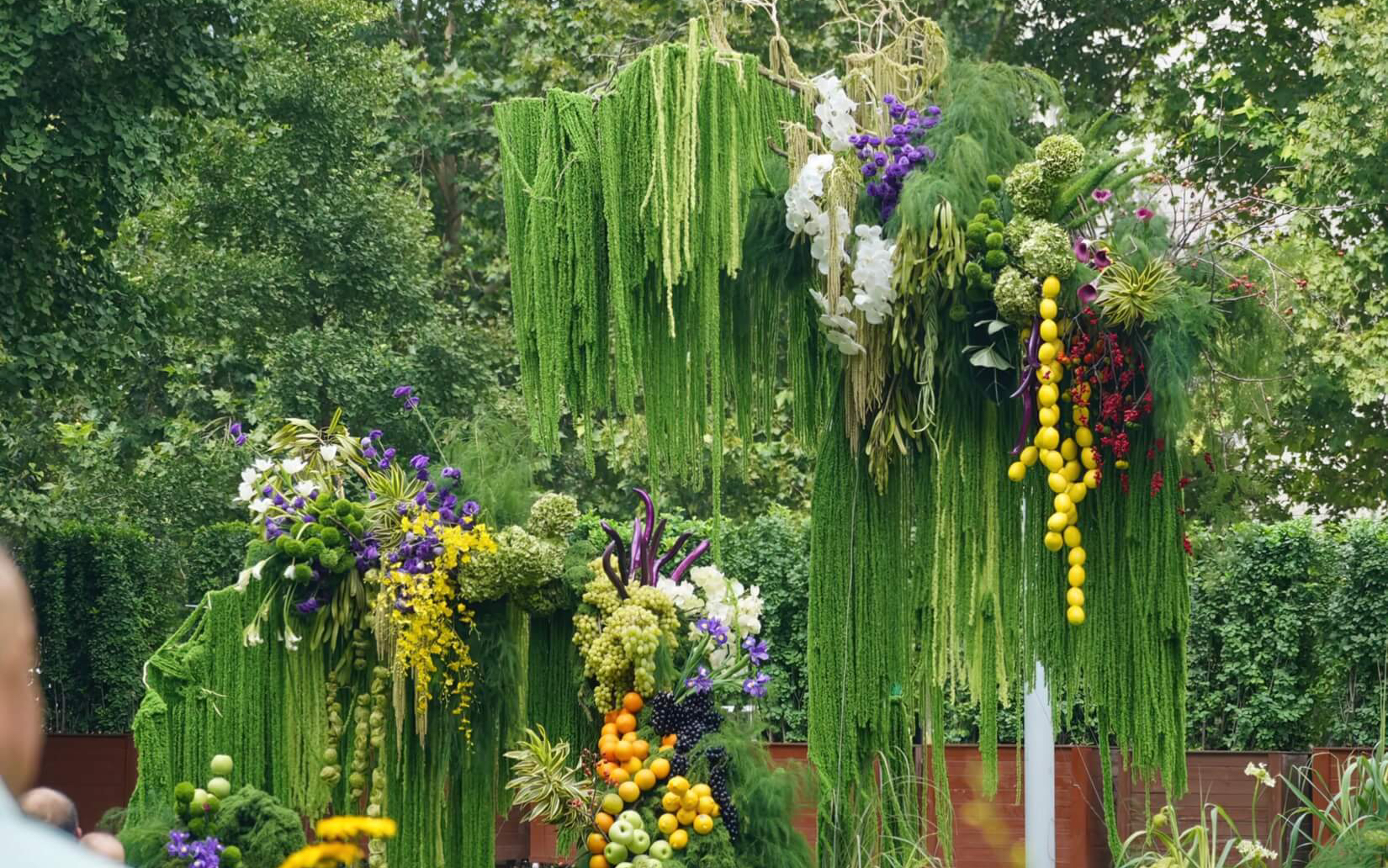 【圣菲婚礼】野生自然瓜果蔬菜草坪婚礼