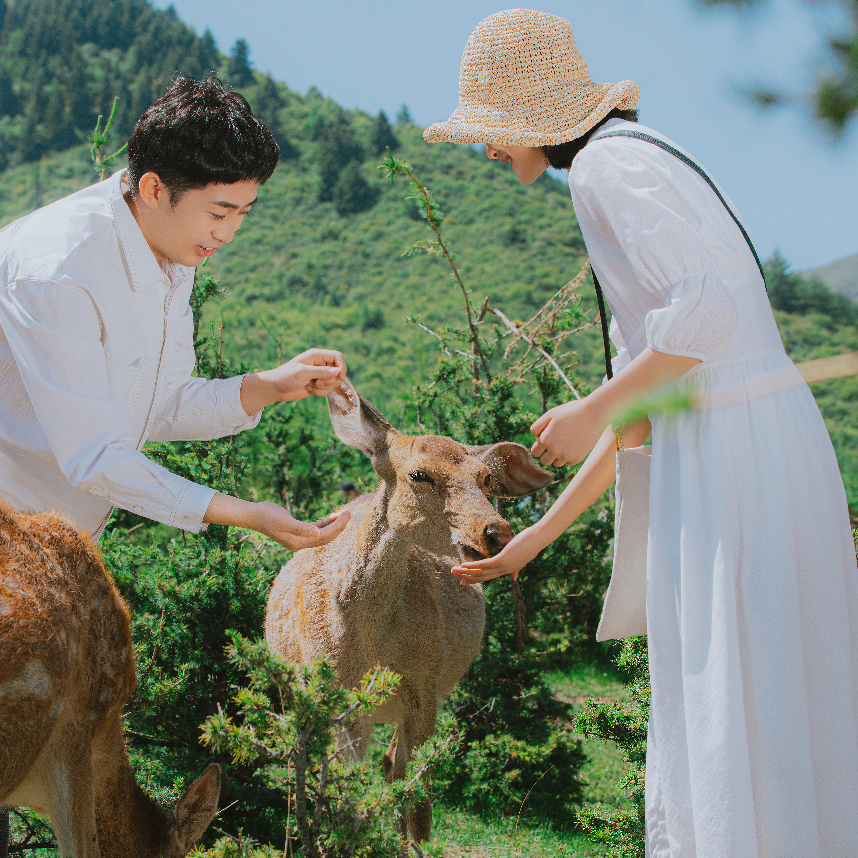 【蘭州旅拍】甜美森系 輕旅拍也要有滿滿儀式感