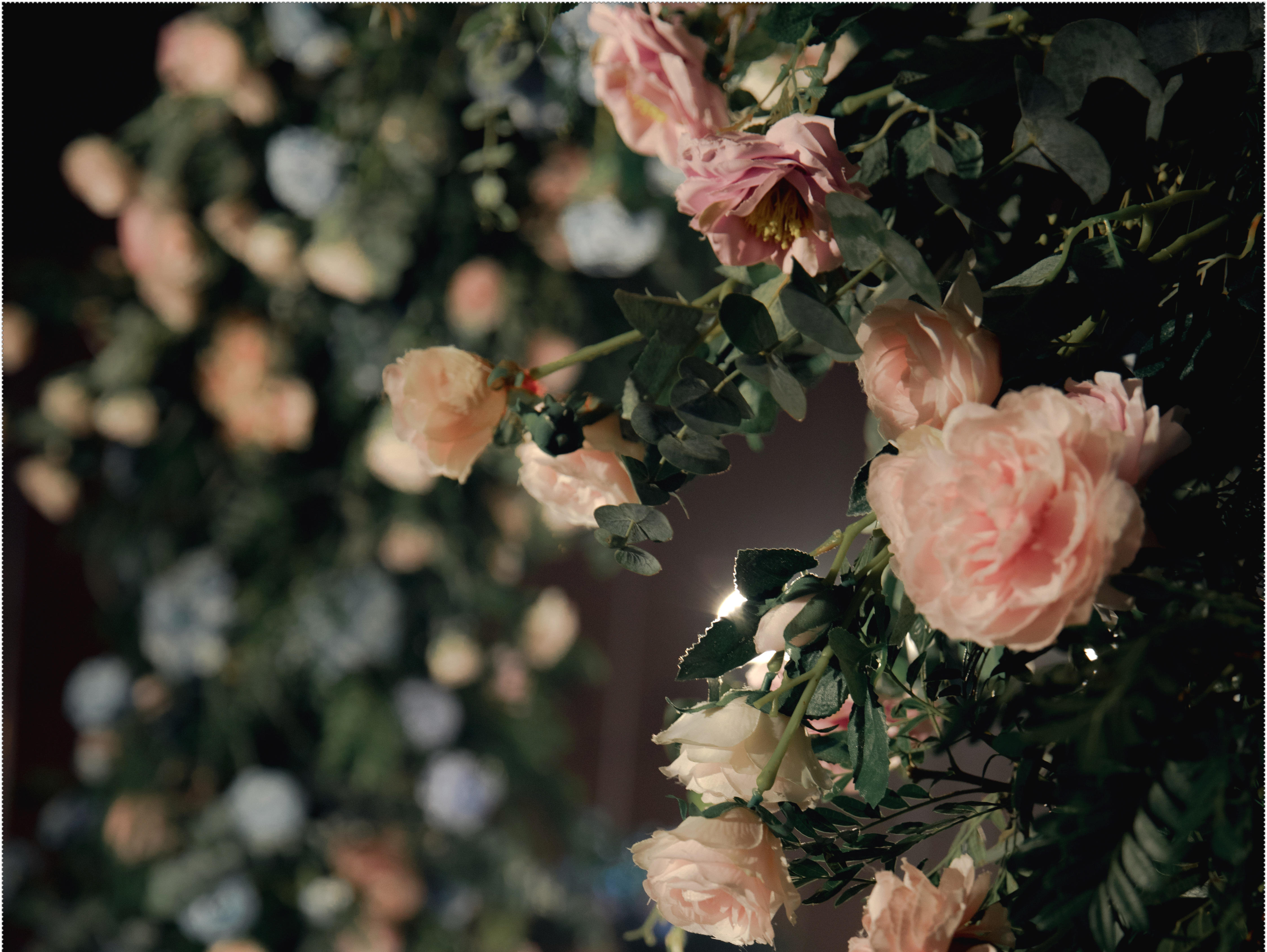 千百度『唐御花园酒店-一见钟情』