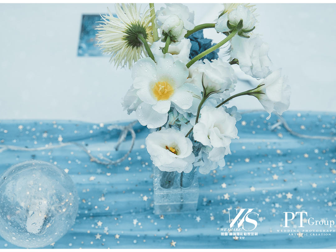 【薇雪婚礼】户外浪漫星空主题婚礼party