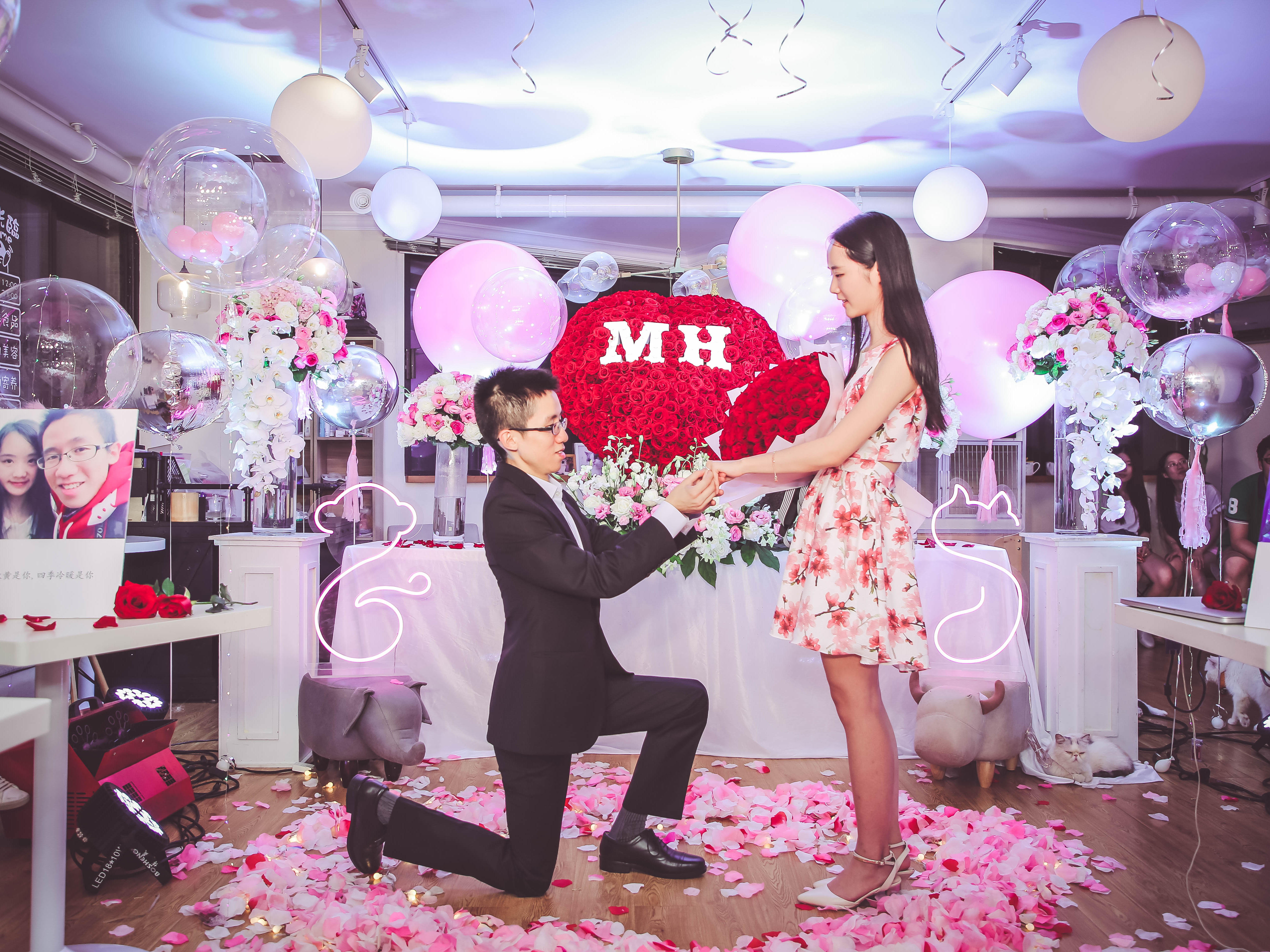 宠物咖啡馆求婚 爱猫人士的专属浪漫