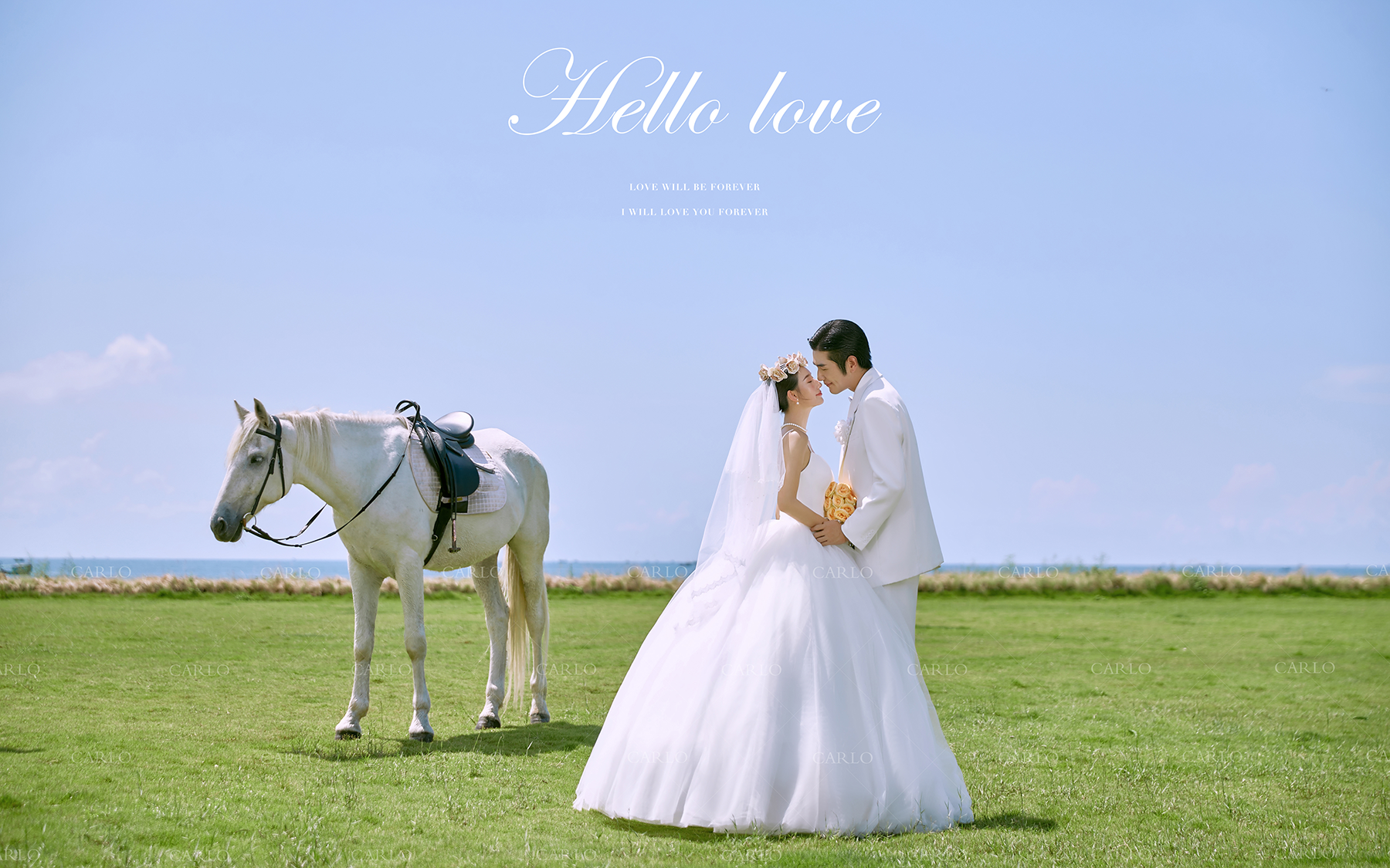 卡洛婚纱摄影【草坪白马】