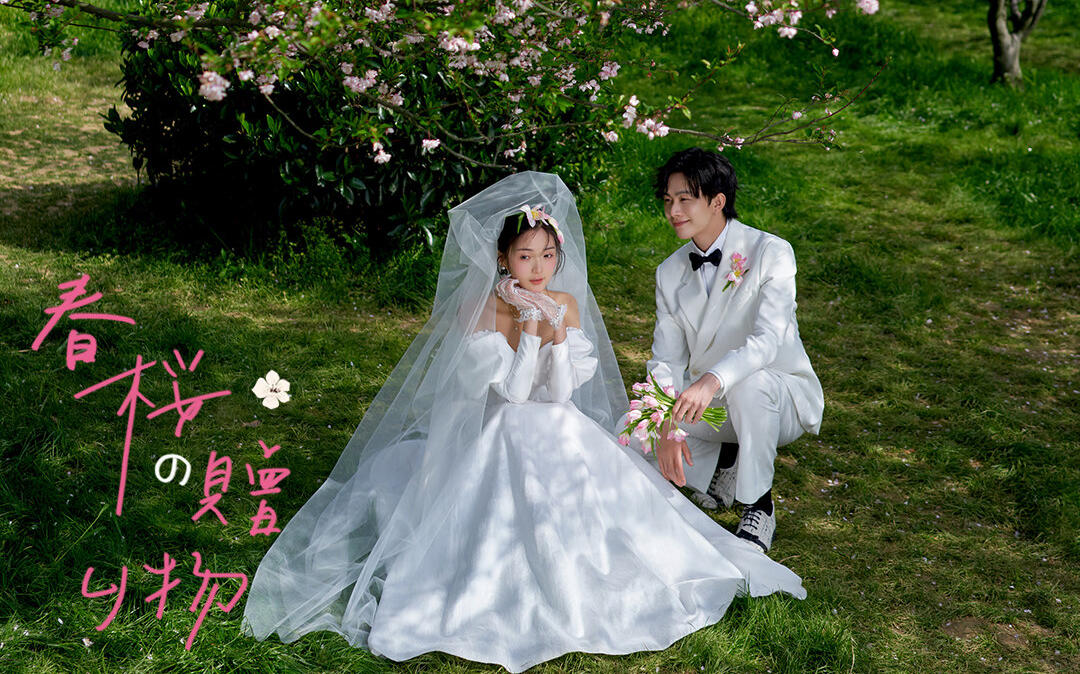 【青岛北海影像🔥🔥🔥🔥🔥】樱花⭐⭐⭐