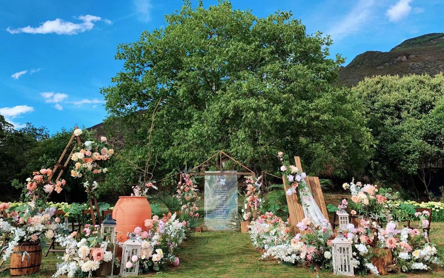 听花谷— 小清新一棵树婚礼