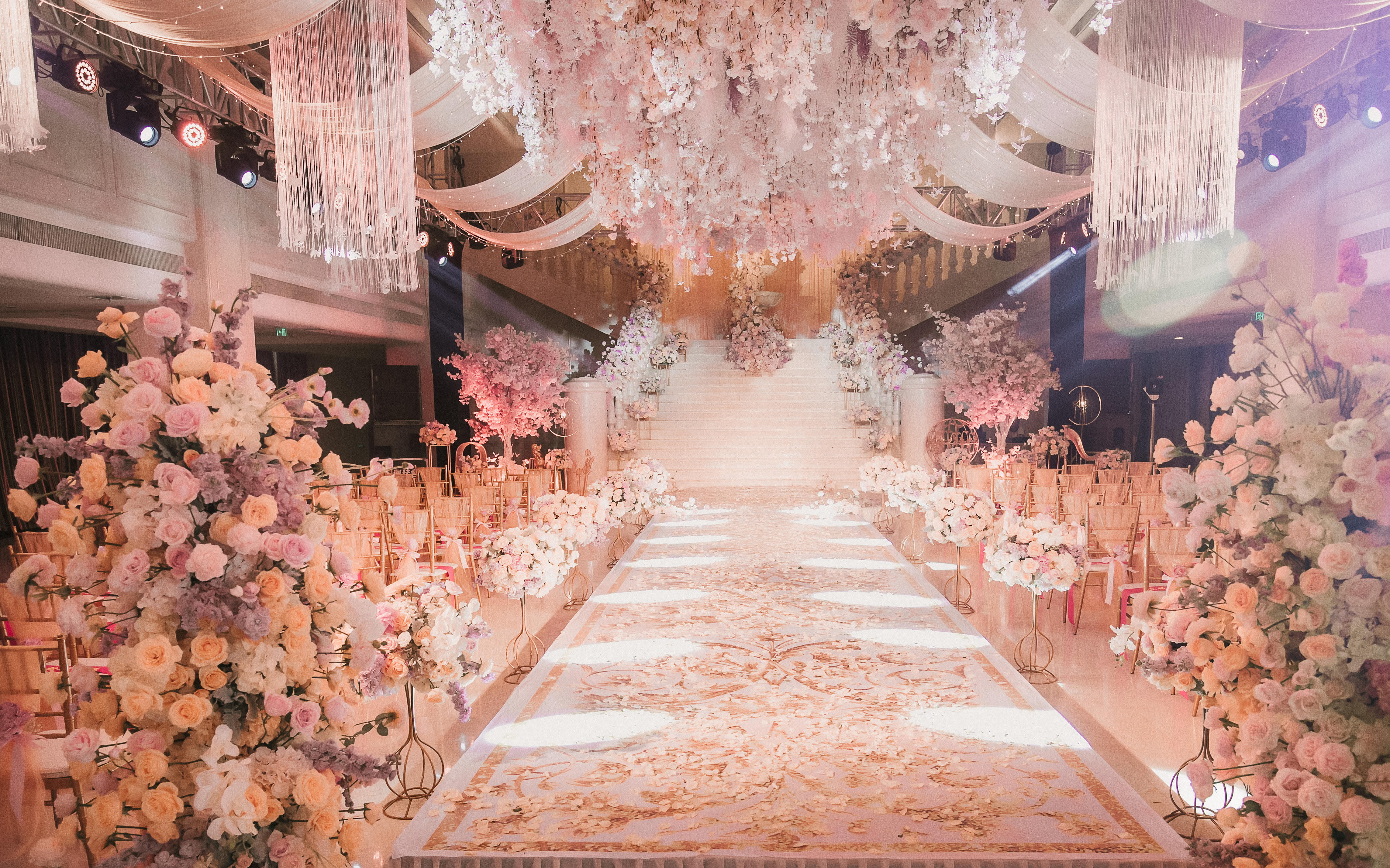 【蘭club】东升汇：My Princess