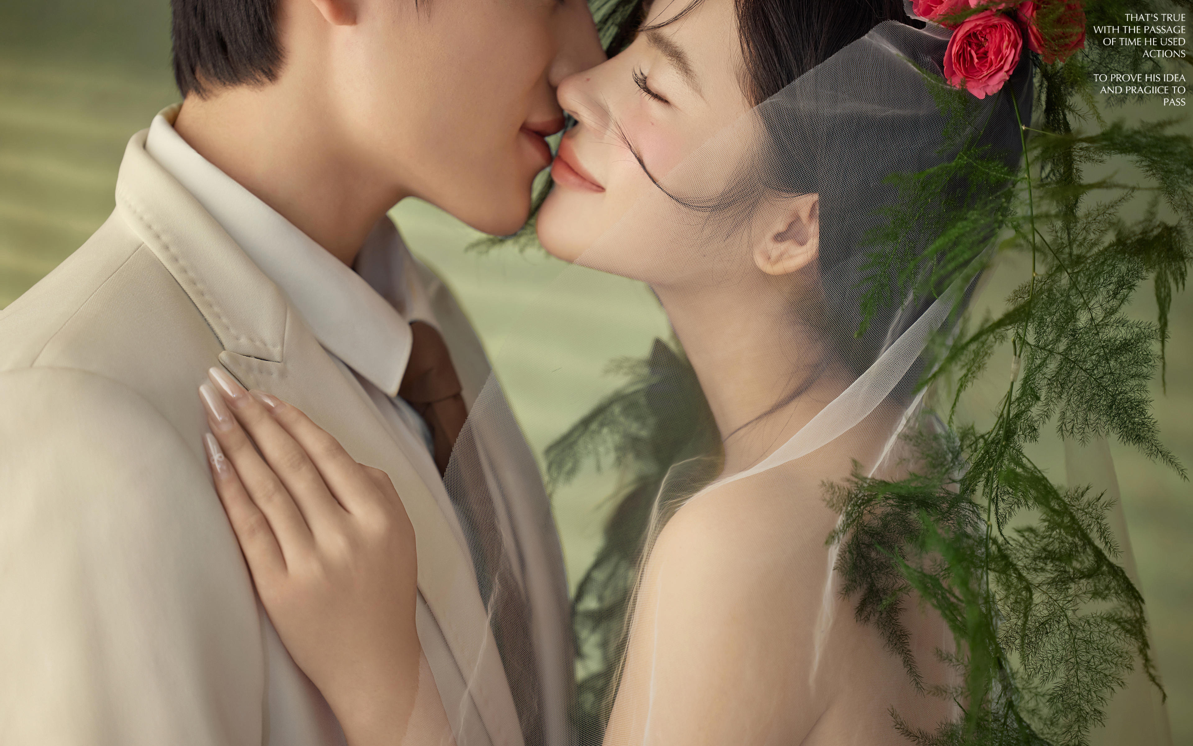 新品首发 芦荀草的夏天