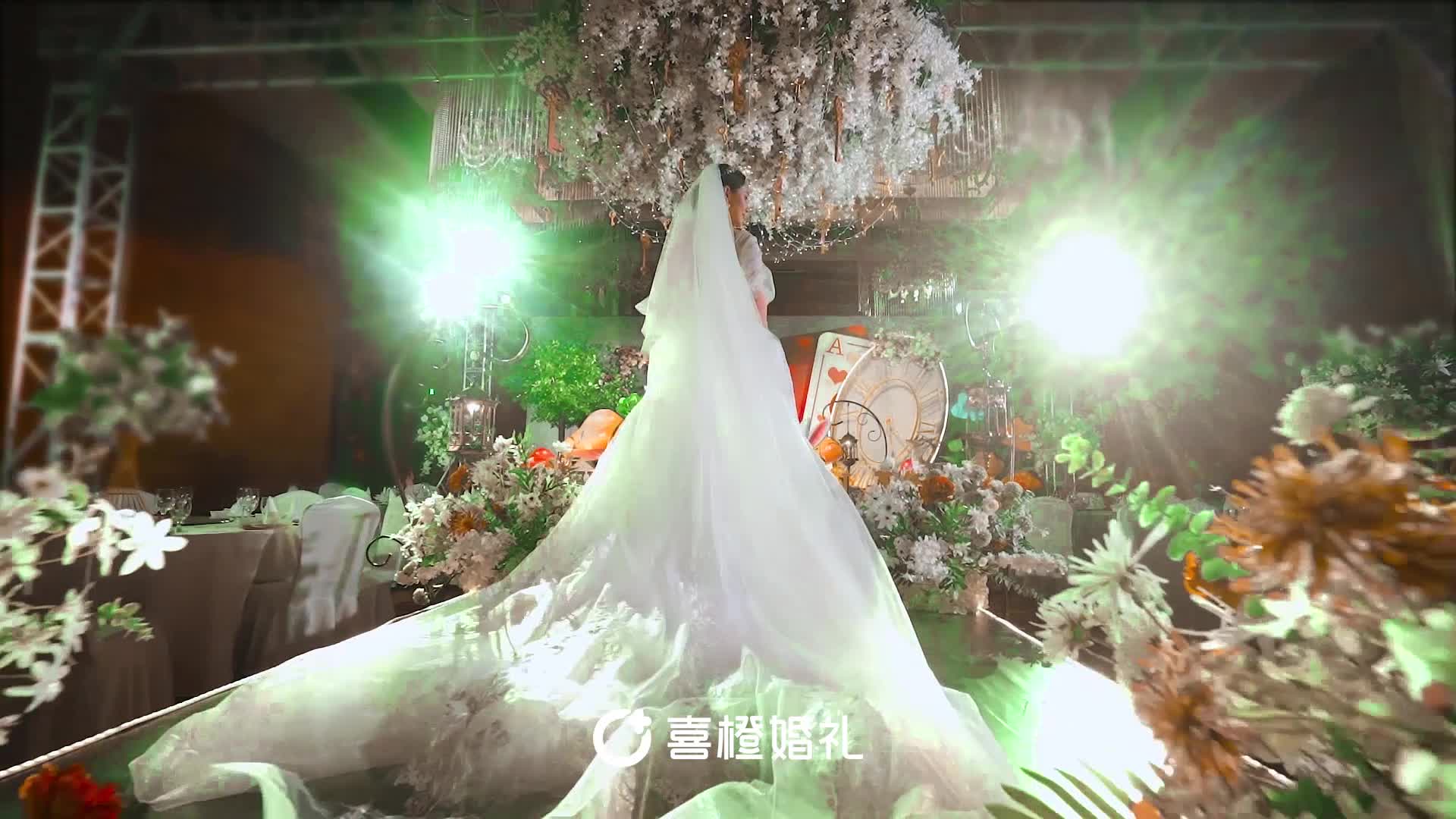 【爱丽丝梦游仙境】浪漫|唯美|浪漫|童话|魔法