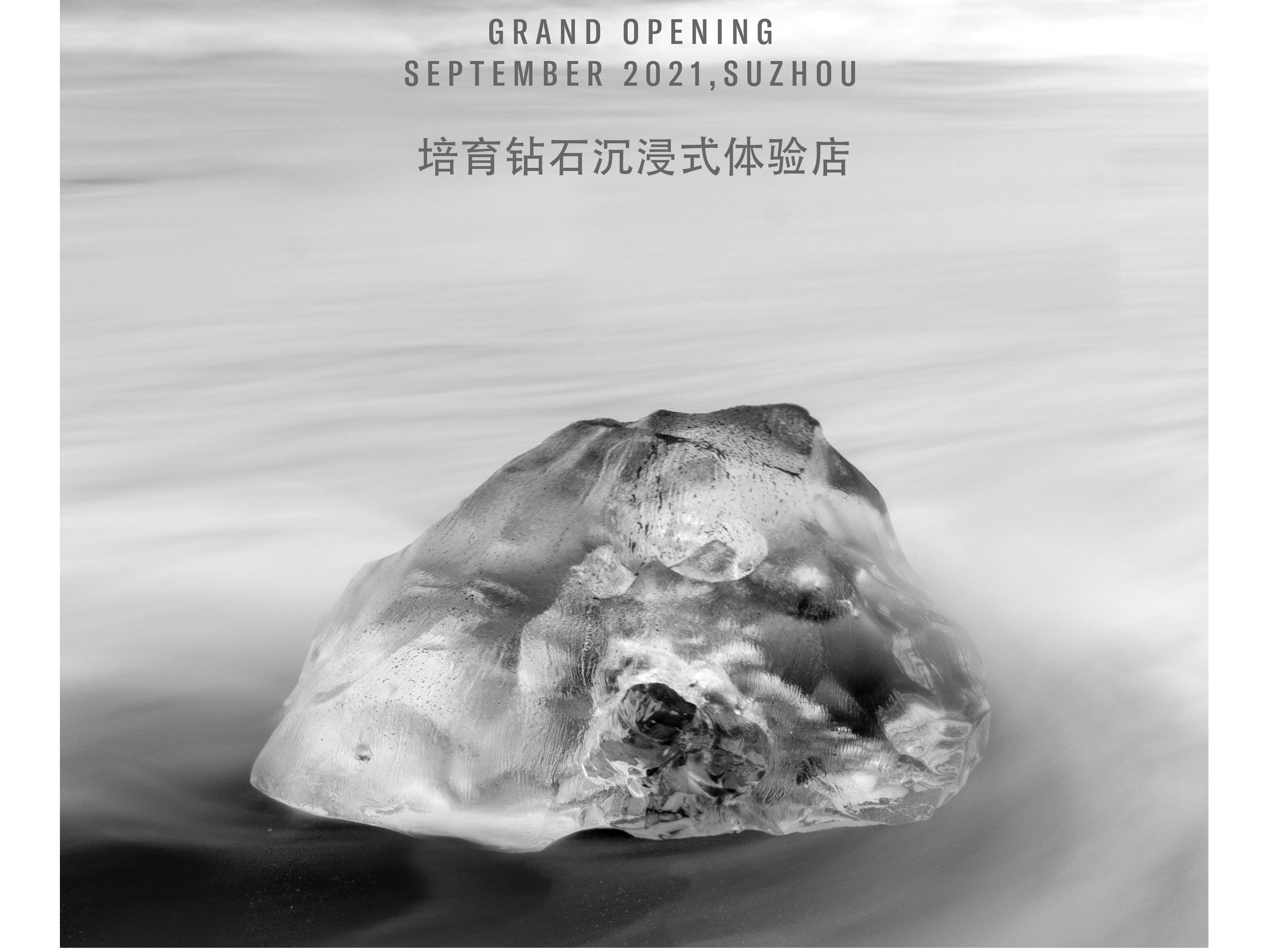 培育钻石裸钻婚戒定制1一克拉