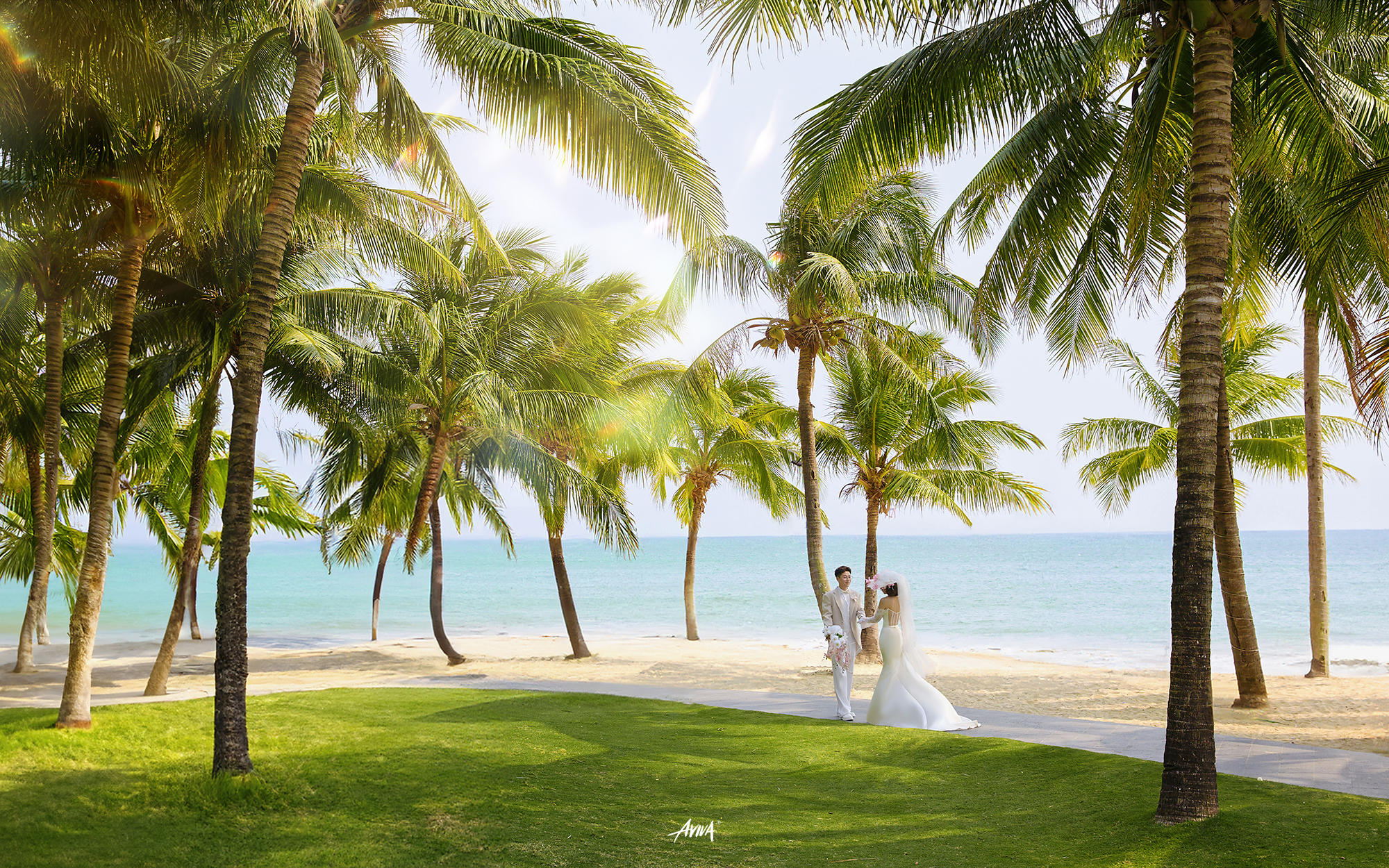 三亞客片·森系浪漫??椰林草坪婚紗照