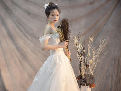 新娘跟妆+婚纱3件套系  款式任选