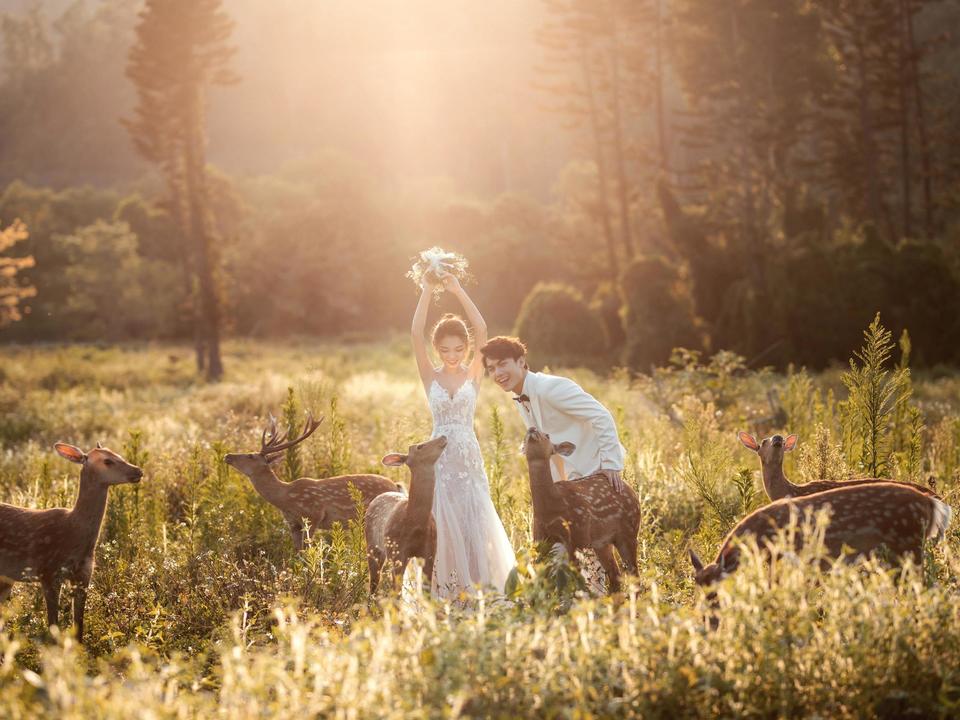 【小鹿、唯美、自然】婚纱照系列