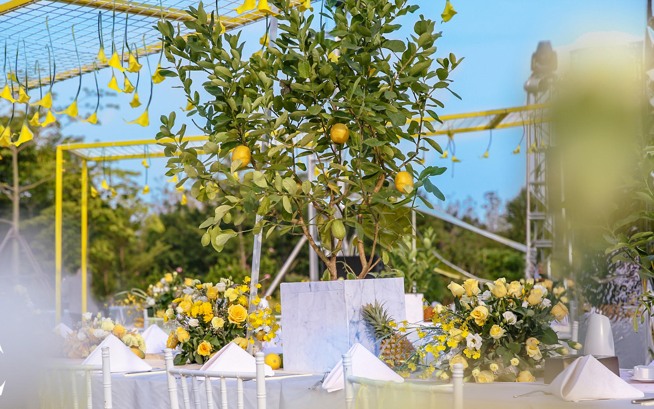 《Lemon》柠檬主题户外婚礼