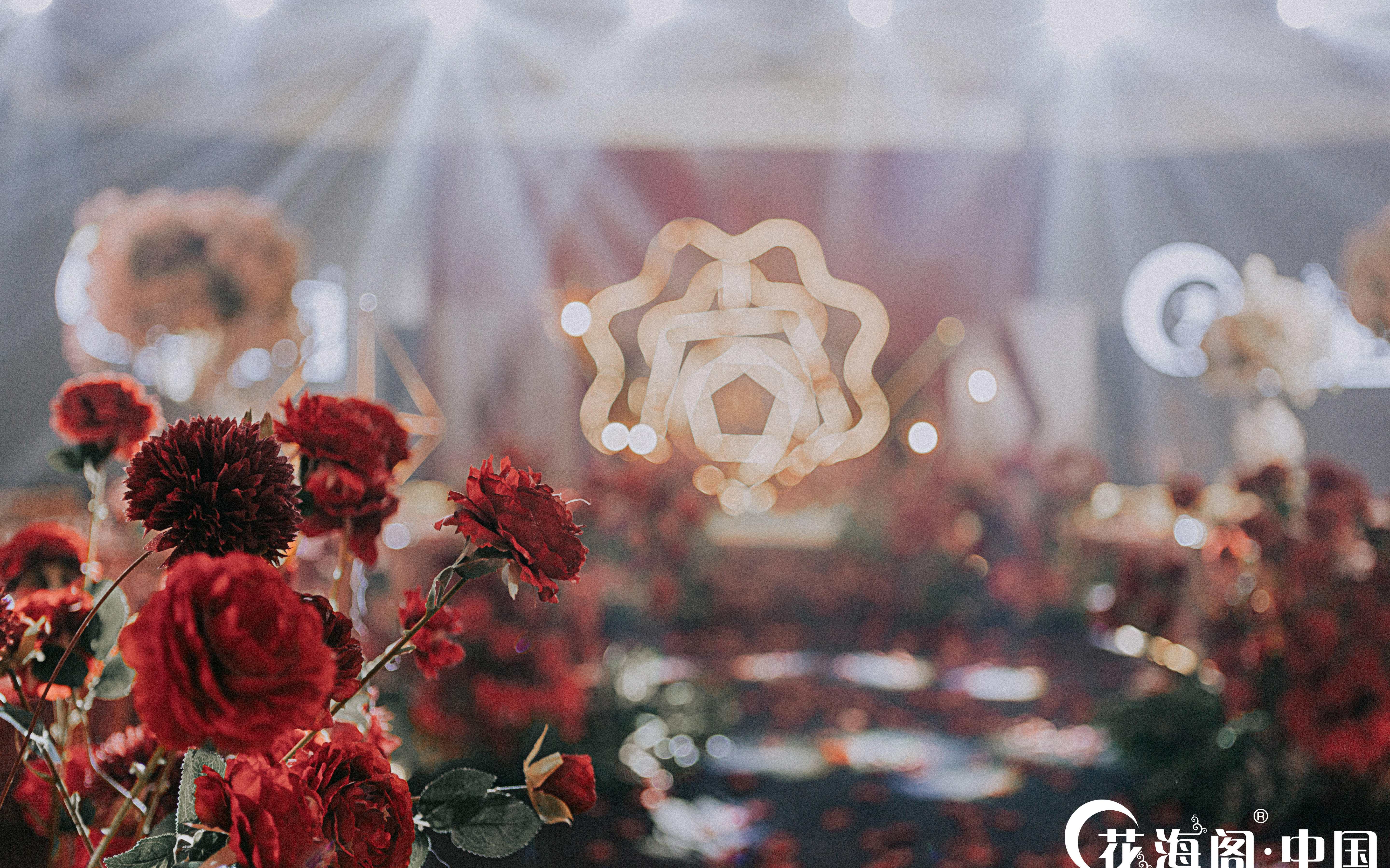 红色玫瑰 【花海阁出品】